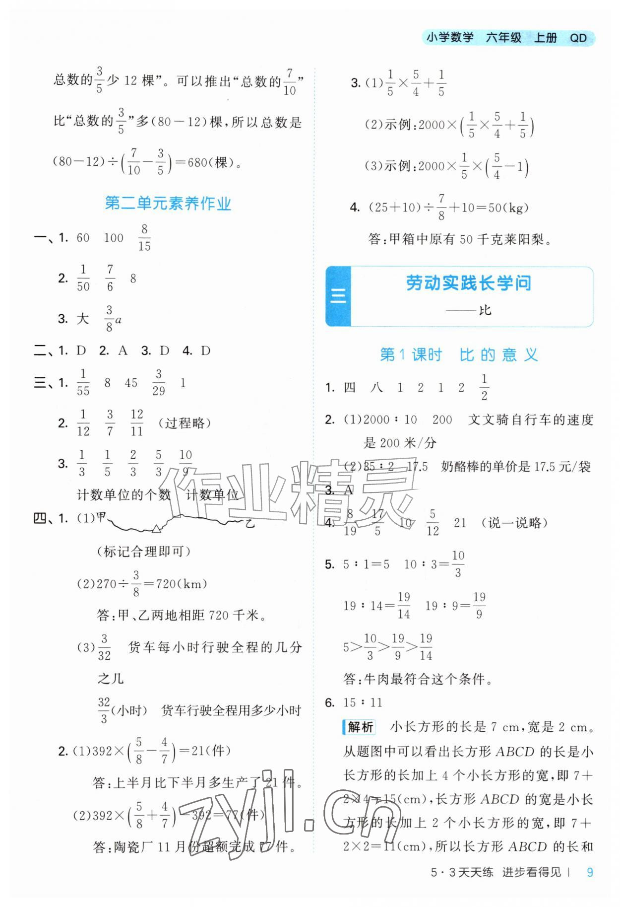 2026年53天天练六年级数学上册青岛版&nbsp;参考答案第9页