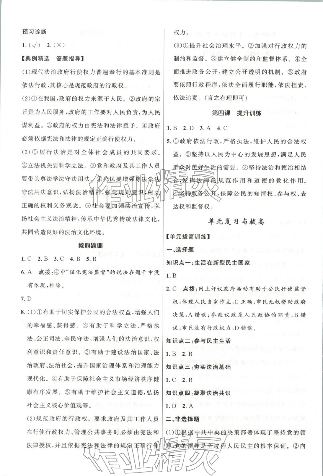 2025年顶尖课课练九年级道德与法治全一册人教版贵州专版&nbsp;第8页