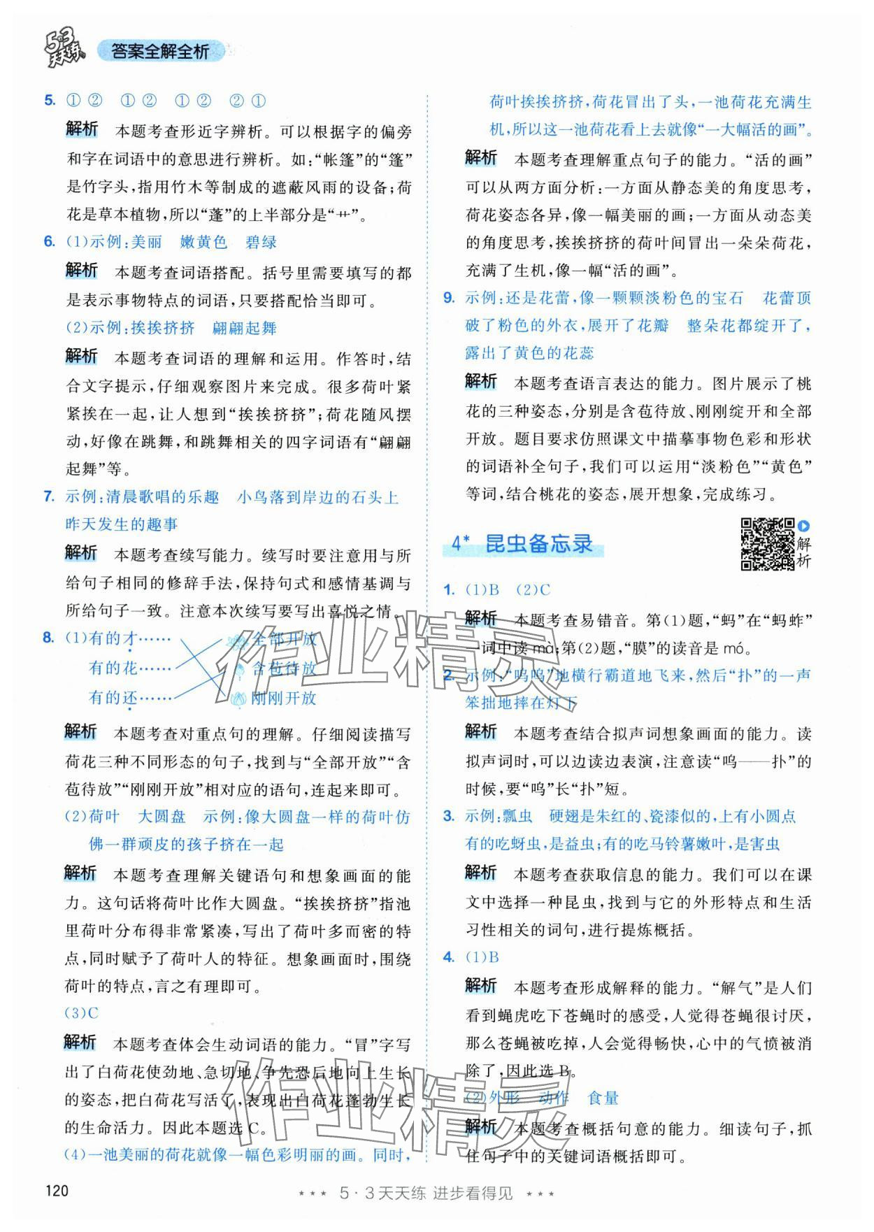 2024年53天天练三年级语文下册人教版&nbsp;参考答案第4页