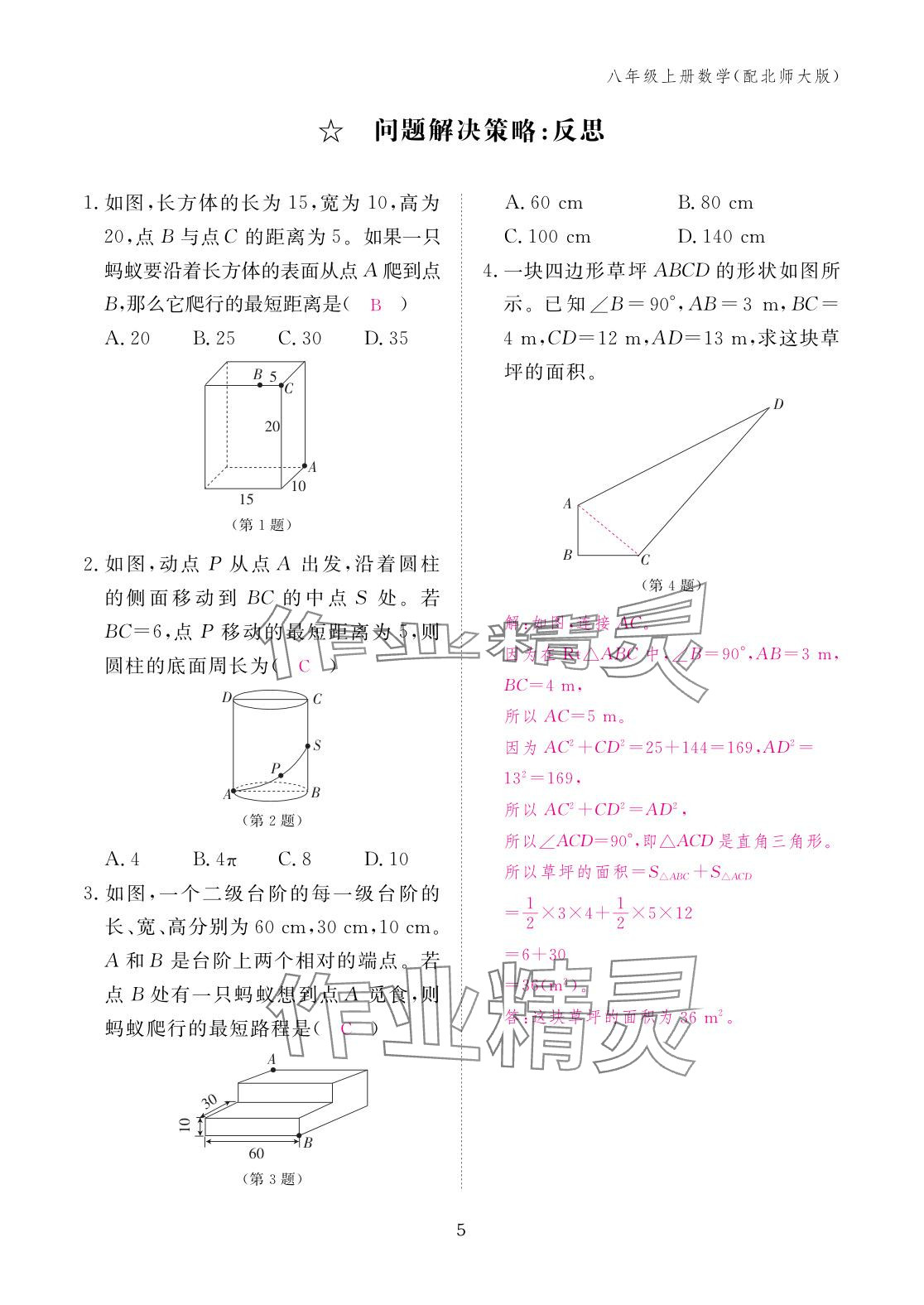 2025年作业本江西教育出版社八年级数学上册北师大版&nbsp;参考答案第5页