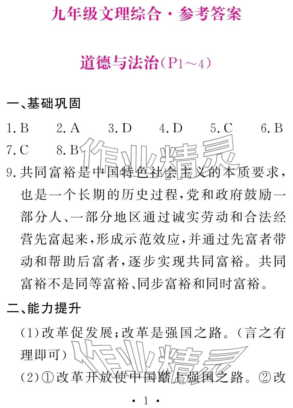 2024年天舟文化精彩寒假团结出版社九年级综合&nbsp;第1页