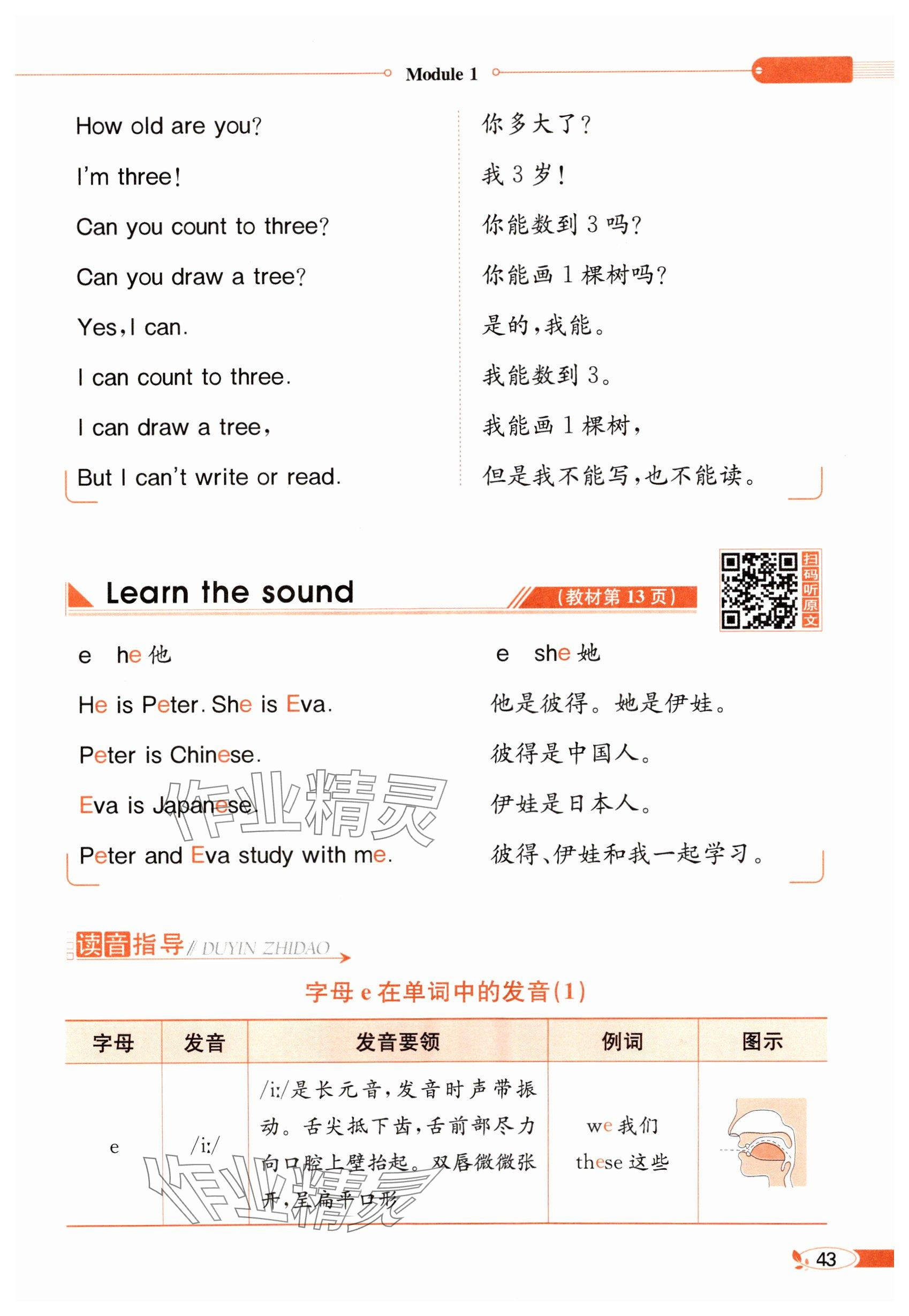2024年教材课本三年级英语上册沪教版54制&nbsp;参考答案第43页