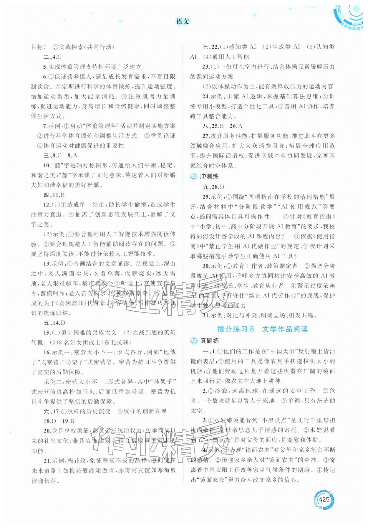2026年中考先锋中考总复习九年级语文人教版&nbsp;参考答案第4页
