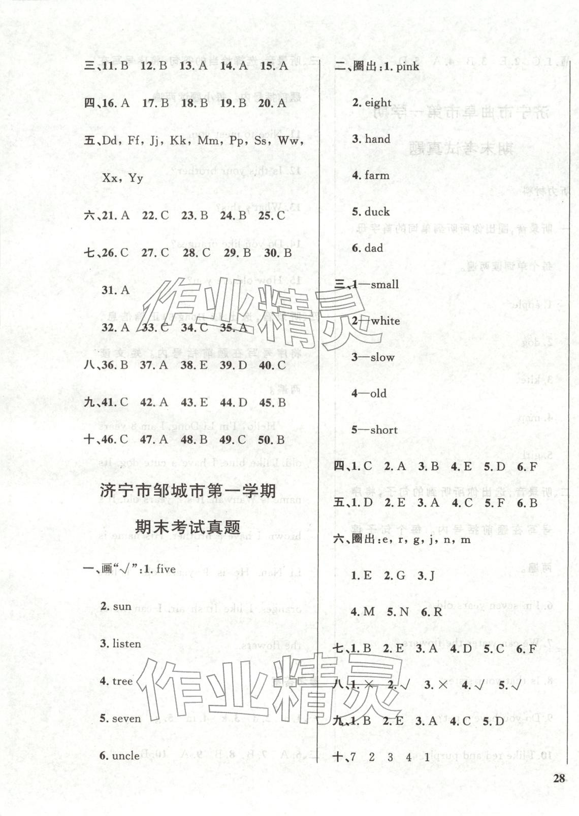 2025年济宁真题汇编三年级英语上册人教版&nbsp;第3页