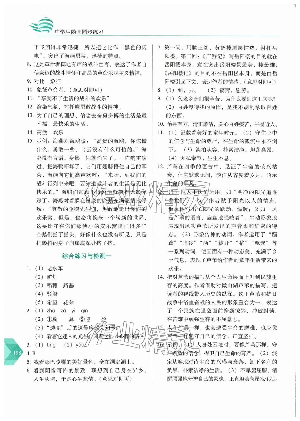 2024年随堂同步练习九年级语文下册人教版&nbsp;参考答案第3页