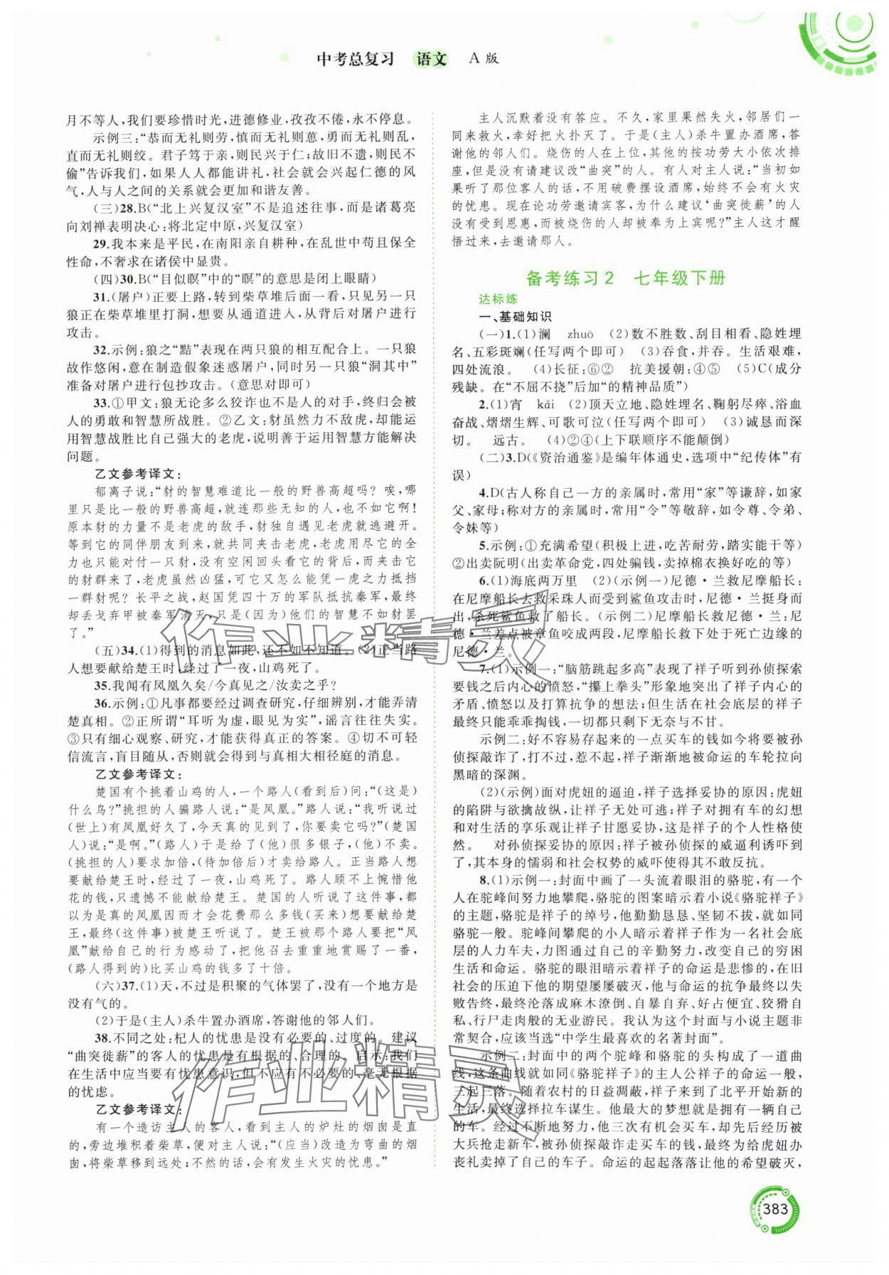 2024年中考先锋中考总复习语文人教版&nbsp;参考答案第6页