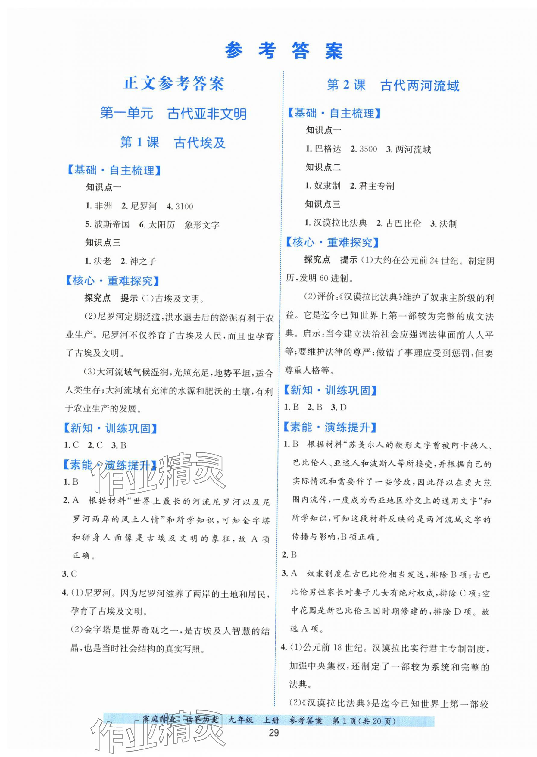 2025年家庭作业九年级历史上册人教版&nbsp;第1页