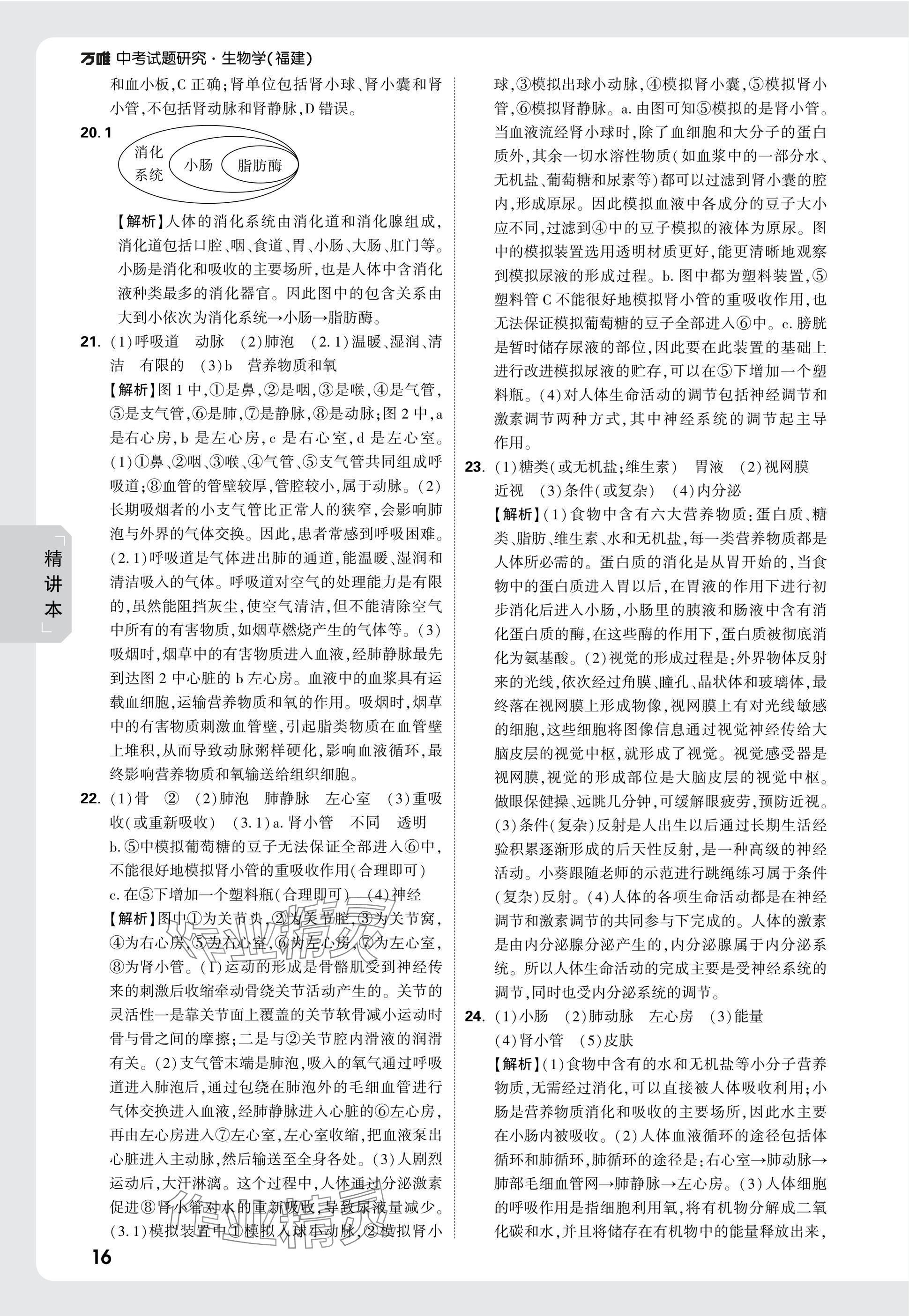 2025年万唯中考试题研究生物福建专版&nbsp;参考答案第16页