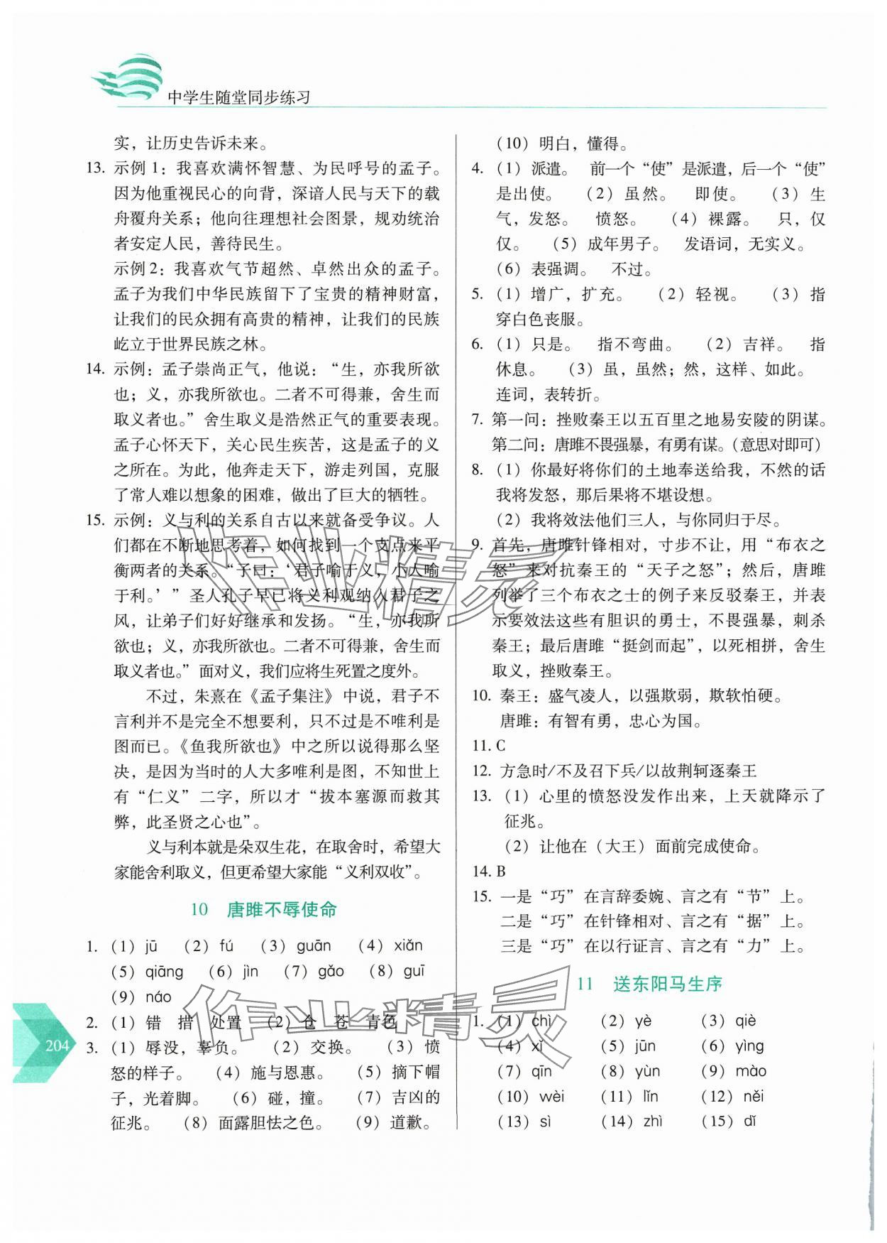 2024年随堂同步练习九年级语文下册人教版&nbsp;参考答案第9页