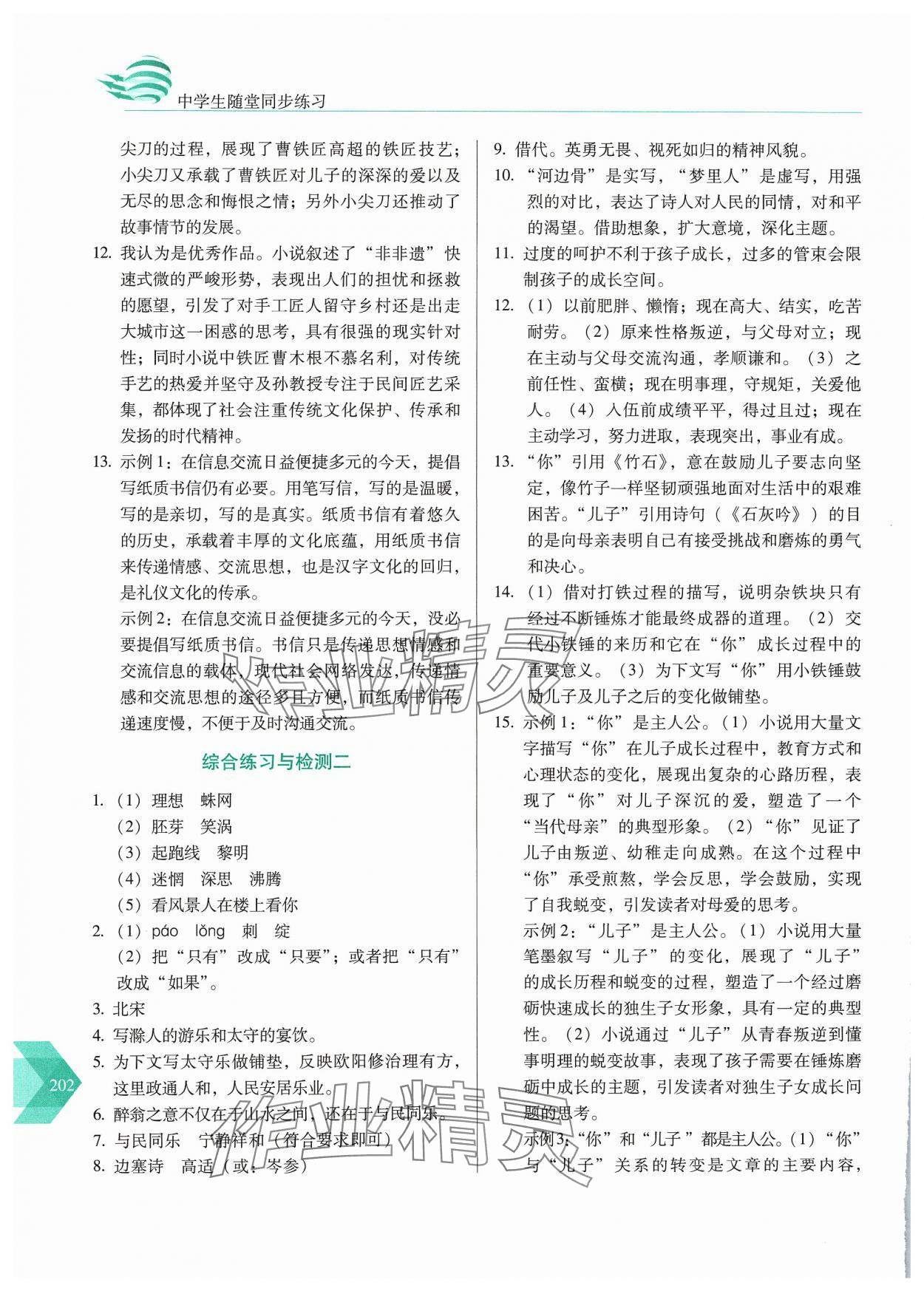 2024年随堂同步练习九年级语文下册人教版&nbsp;参考答案第7页