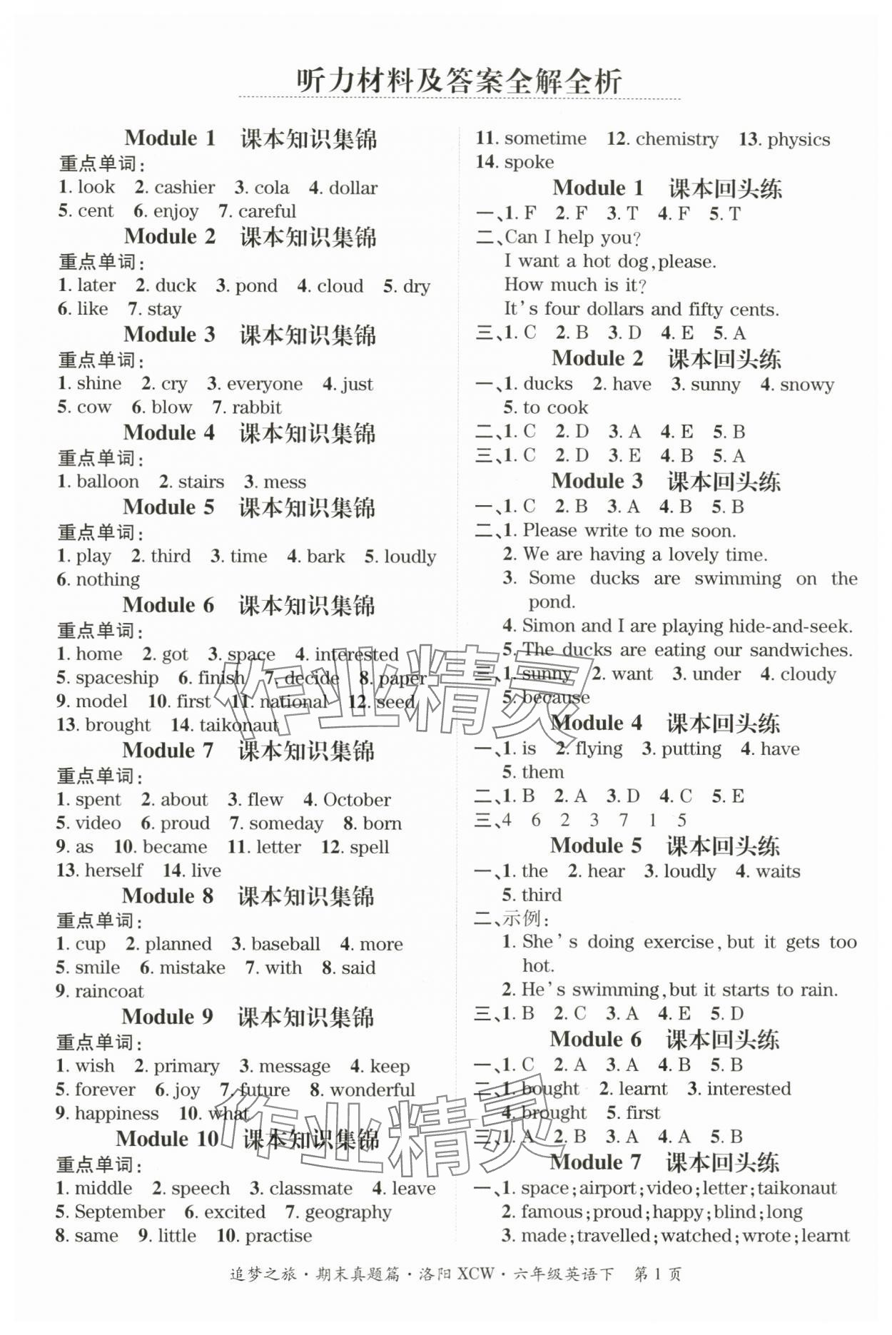 2024年追梦之旅小学期末真题篇六年级英语下册外研版洛阳专版&nbsp;参考答案第1页