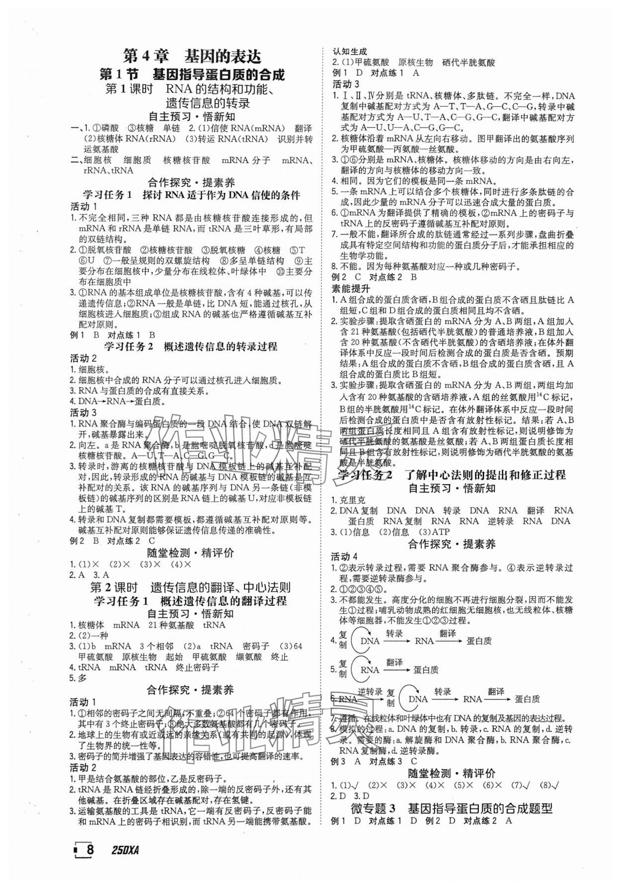 2025年金太阳导学案高中生物必修2人教版&nbsp;参考答案第8页