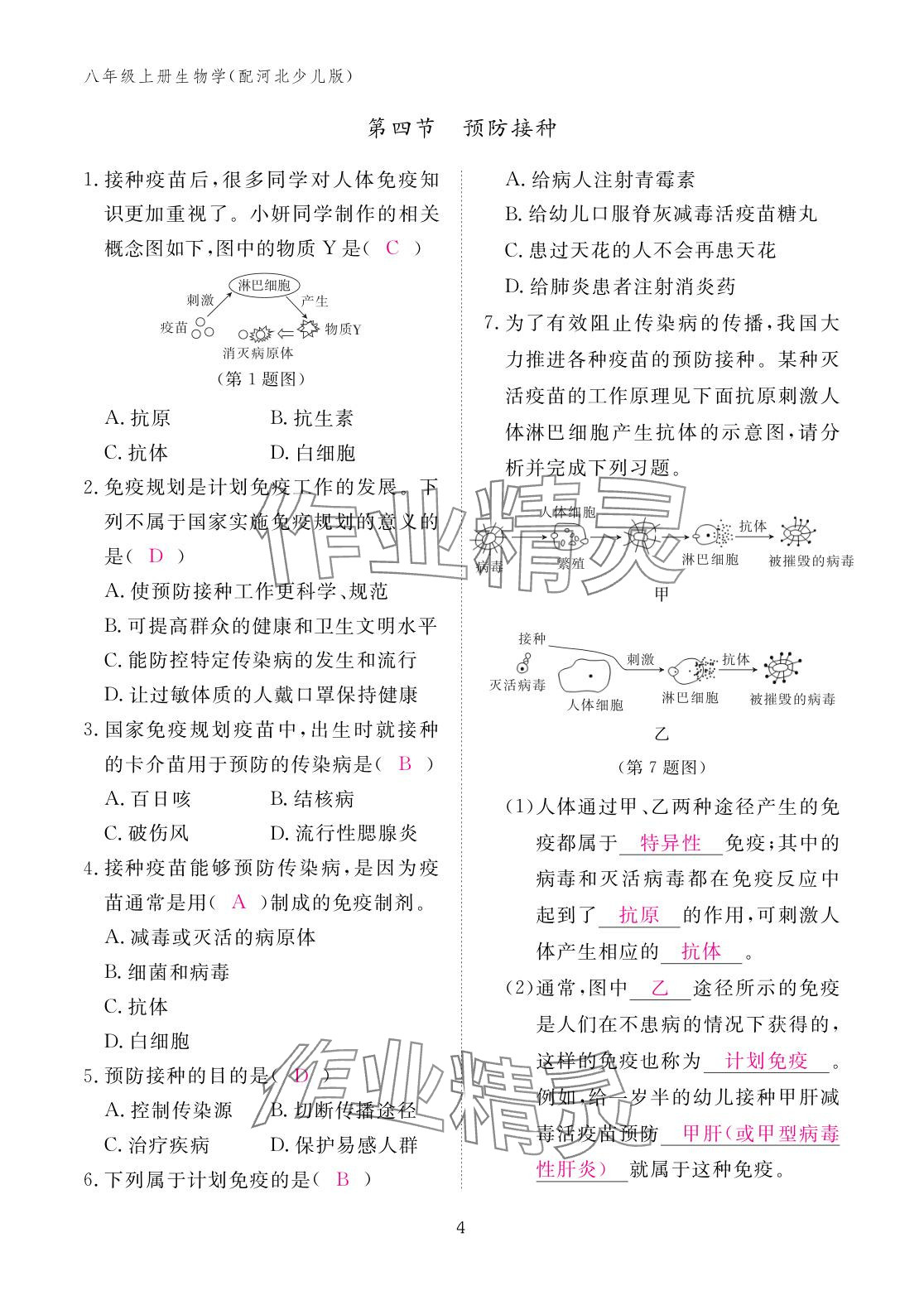 2025年作业本江西教育出版社八年级生物上册冀少版&nbsp;参考答案第4页