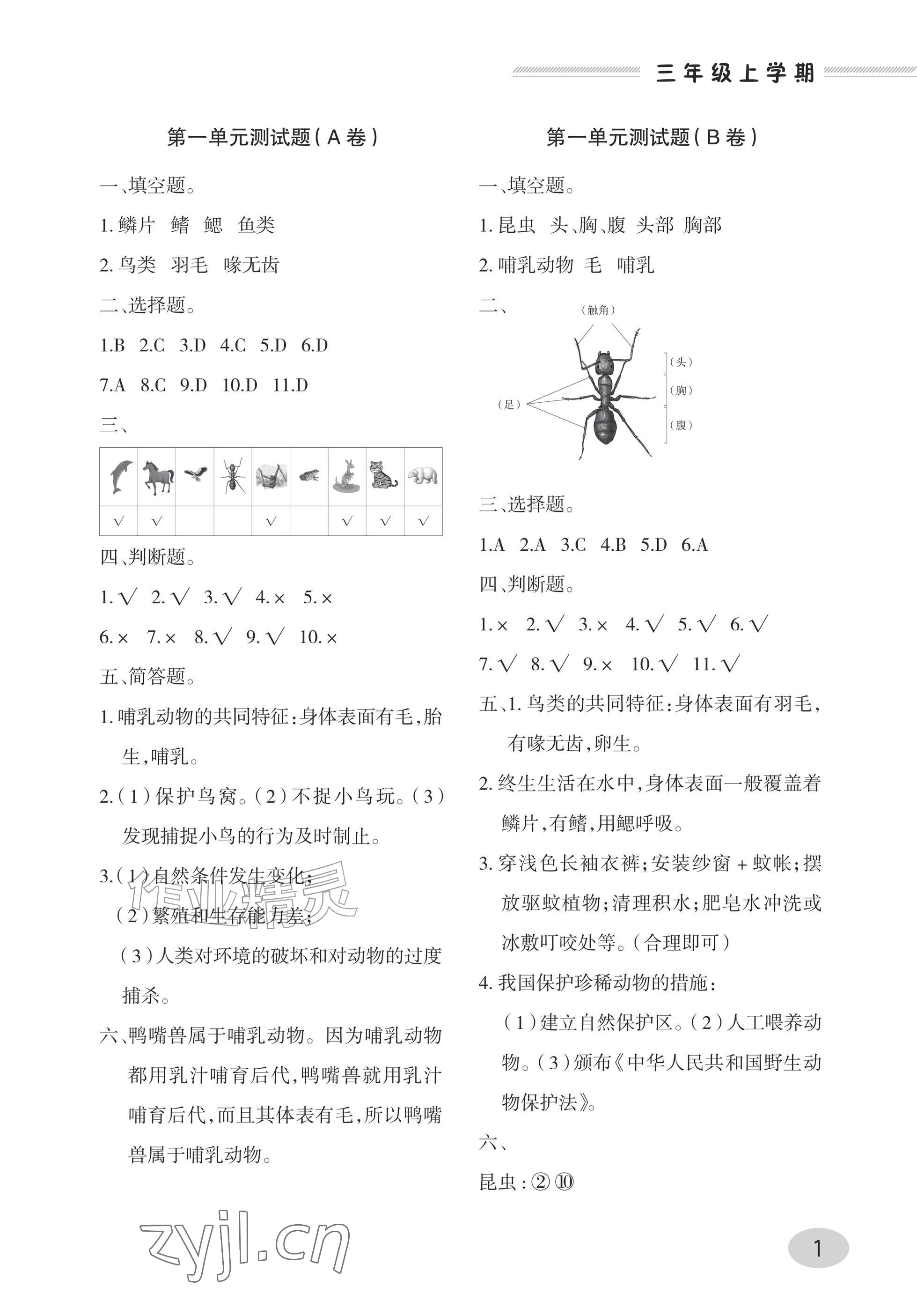 2025年单元自测试卷青岛出版社三年级科学上册青岛版&nbsp;参考答案第1页
