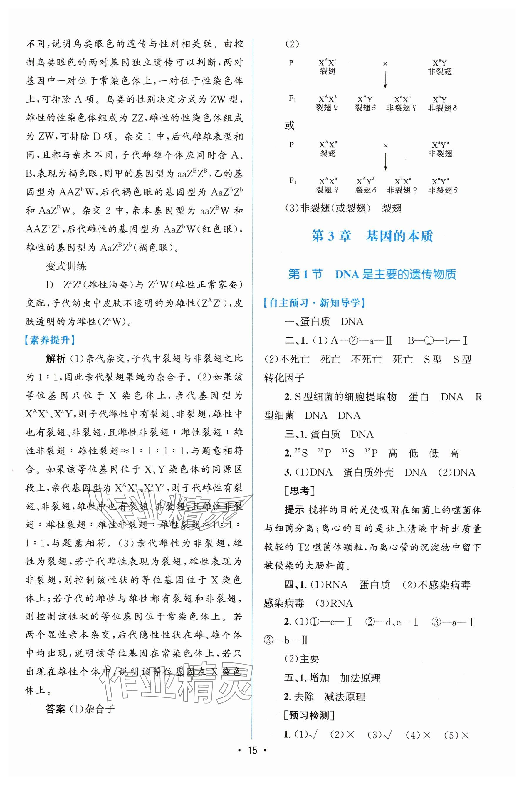 2024年高中同步测控优化设计高中生物必修2人教版增强版&nbsp;参考答案第14页