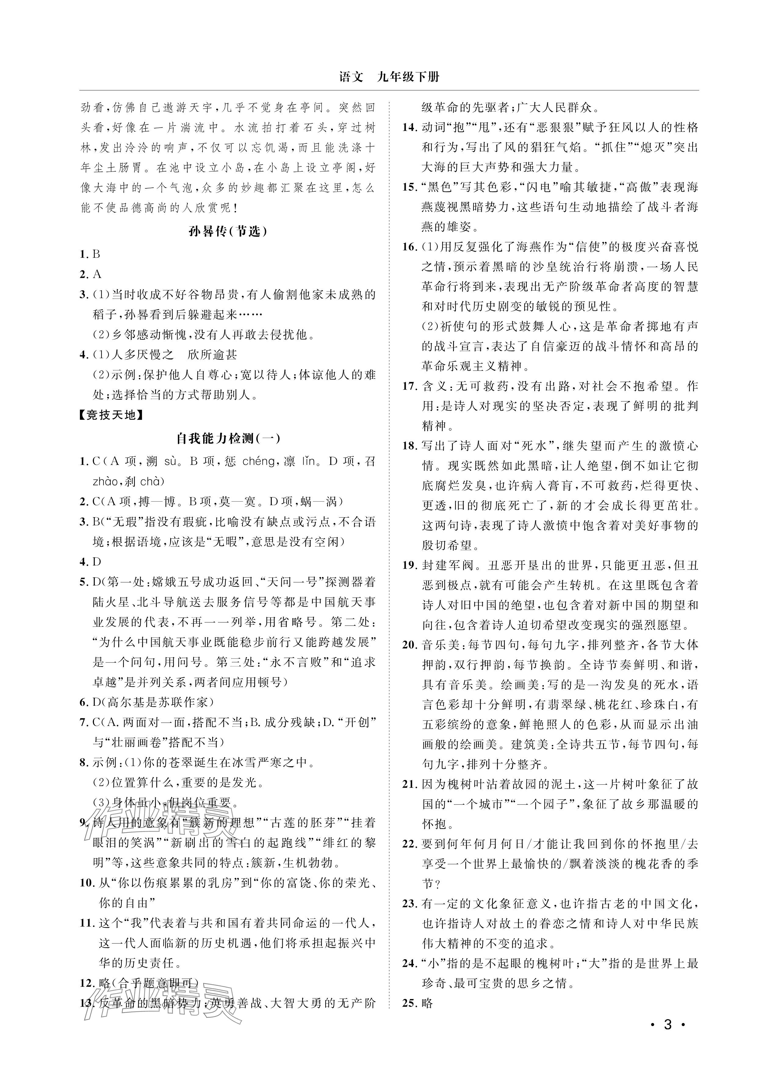 2025年行知天下九年级语文下册人教版&nbsp;参考答案第3页