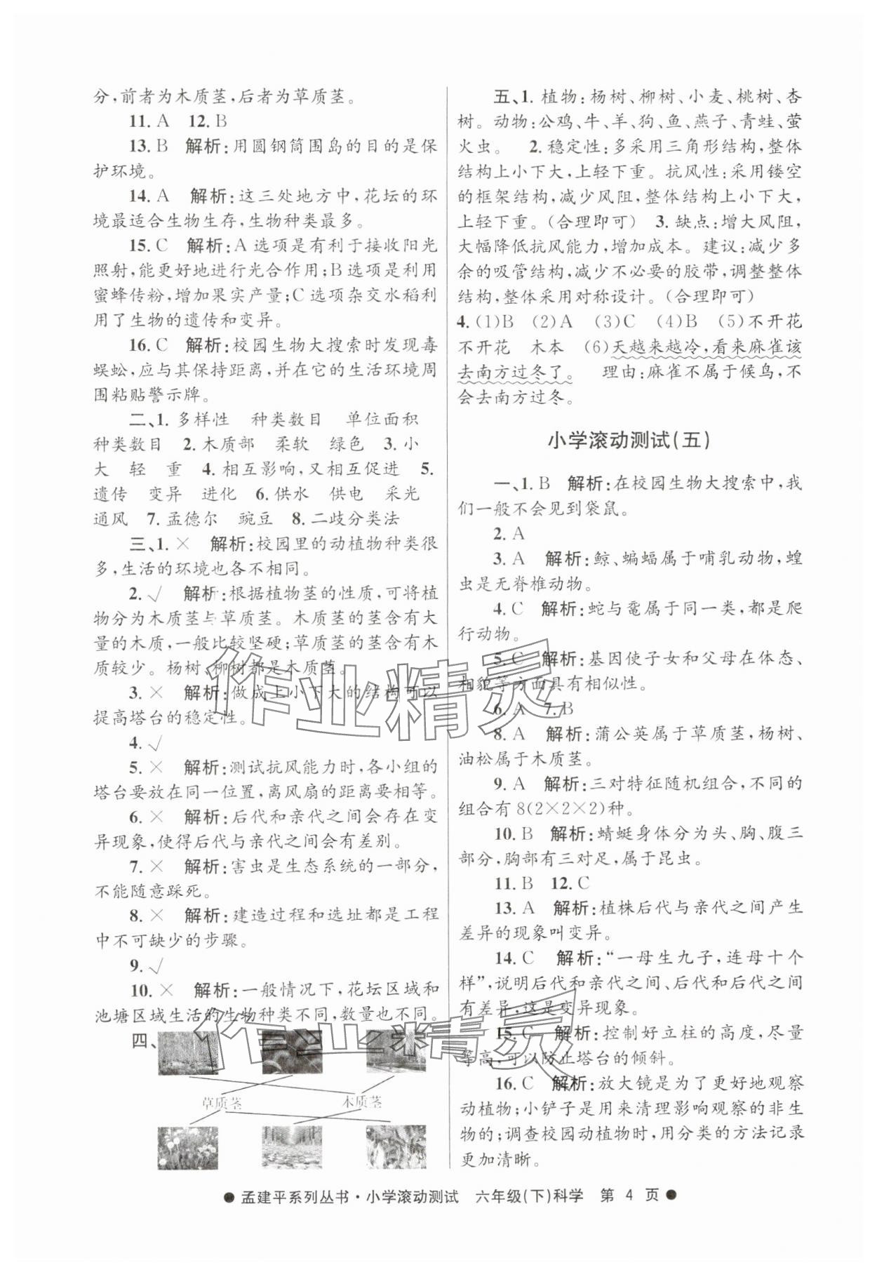 2025年孟建平小学滚动测试六年级科学下册教科版&nbsp;第4页
