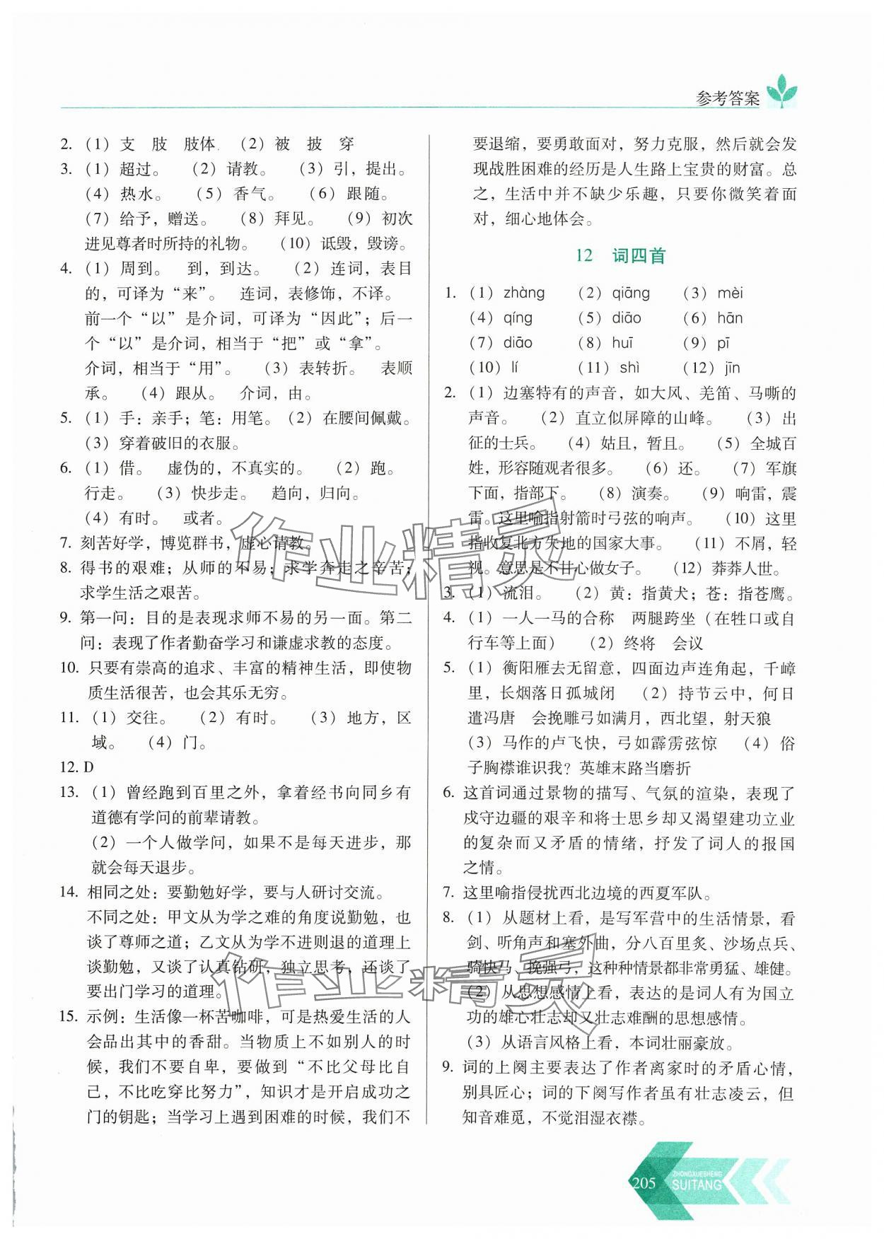 2024年随堂同步练习九年级语文下册人教版&nbsp;参考答案第10页