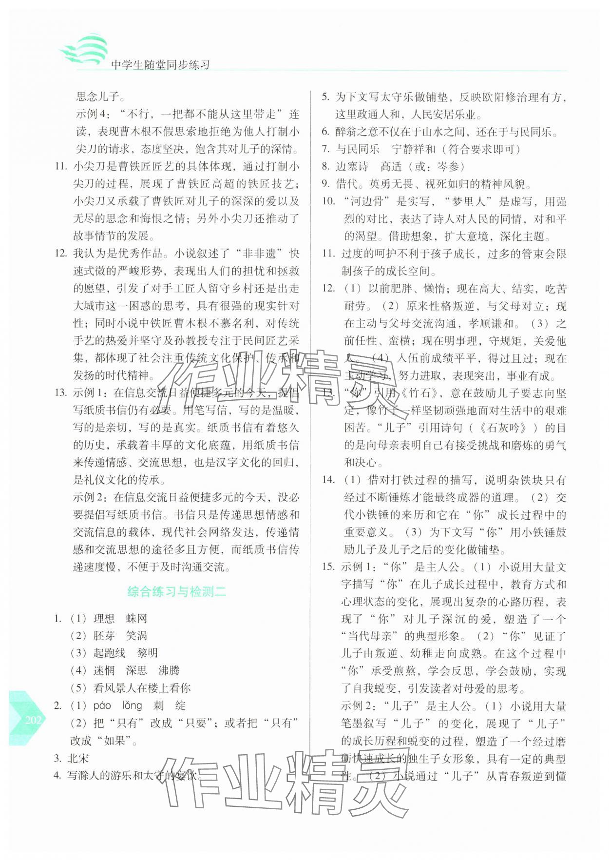 2025年随堂同步练习九年级语文下册人教版&nbsp;参考答案第7页