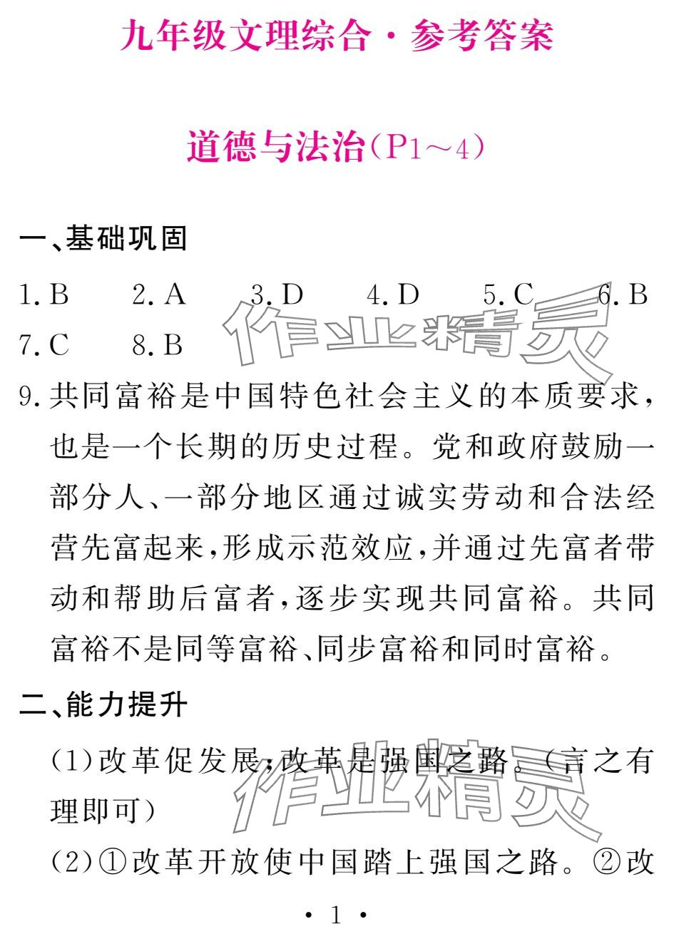 2025年天舟文化精彩寒假团结出版社九年级综合&nbsp;第1页