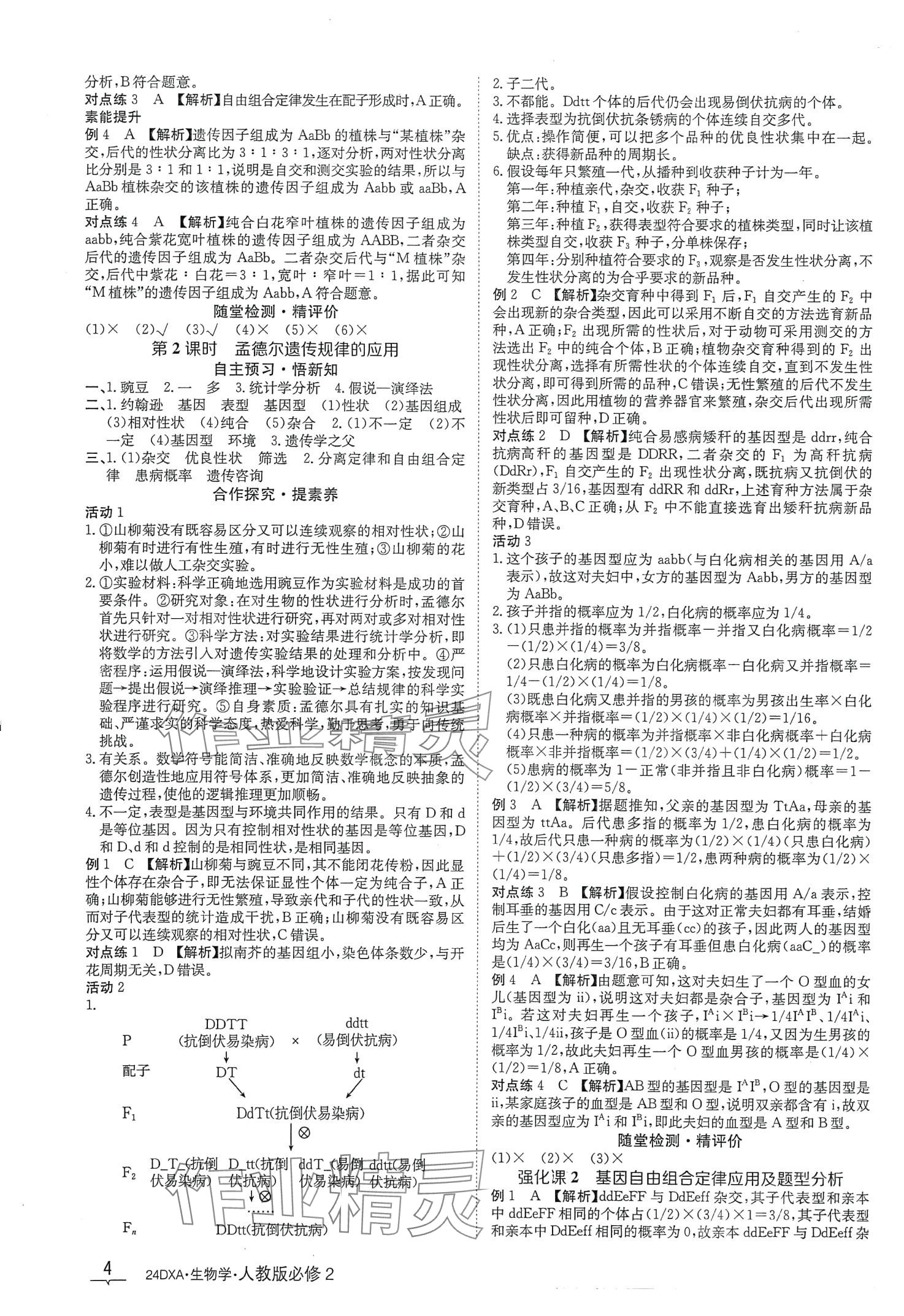 2024年金太阳导学案高中生物必修2人教版新教材&nbsp;第4页