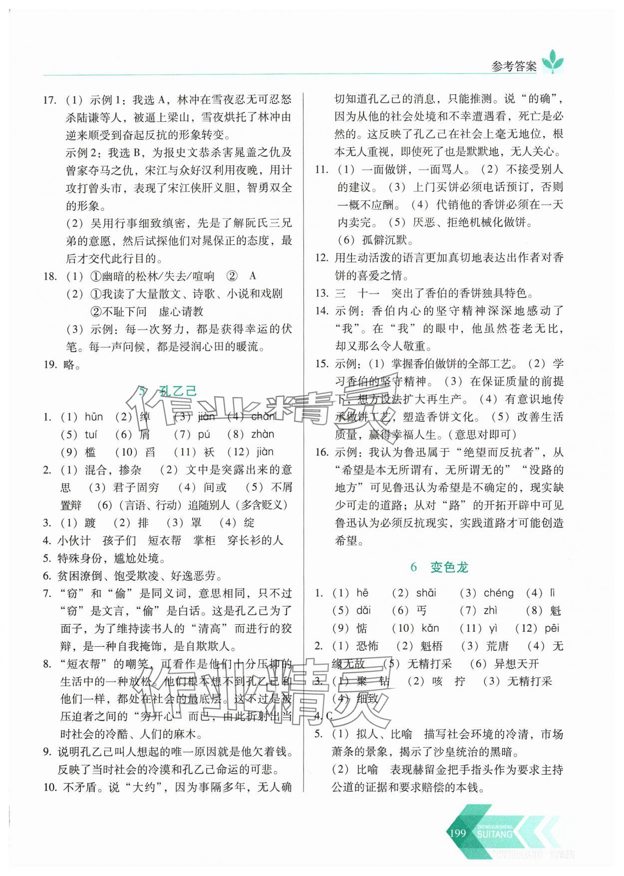 2024年随堂同步练习九年级语文下册人教版&nbsp;参考答案第4页