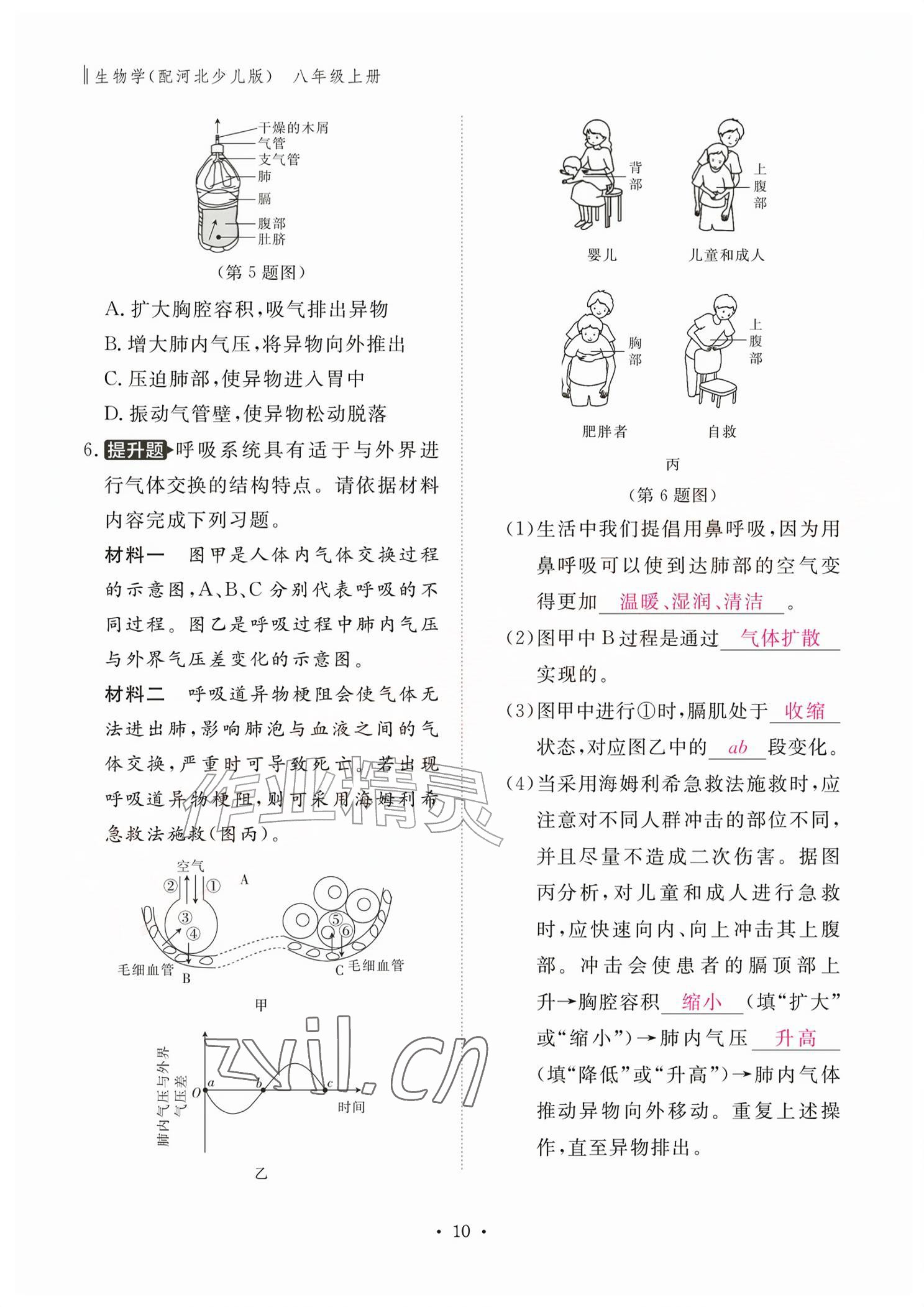 2026年作业本江西教育出版社八年级生物上册冀少版&nbsp;参考答案第10页
