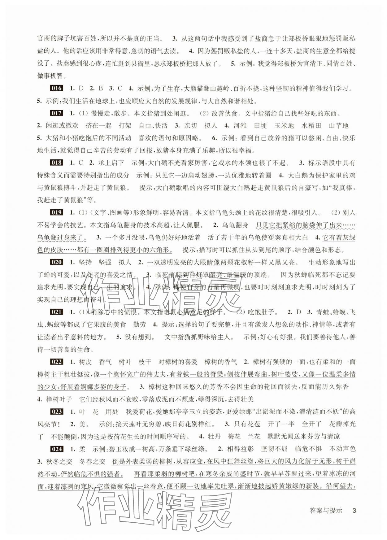 2025年百题大过关小升初语文&nbsp;参考答案第3页