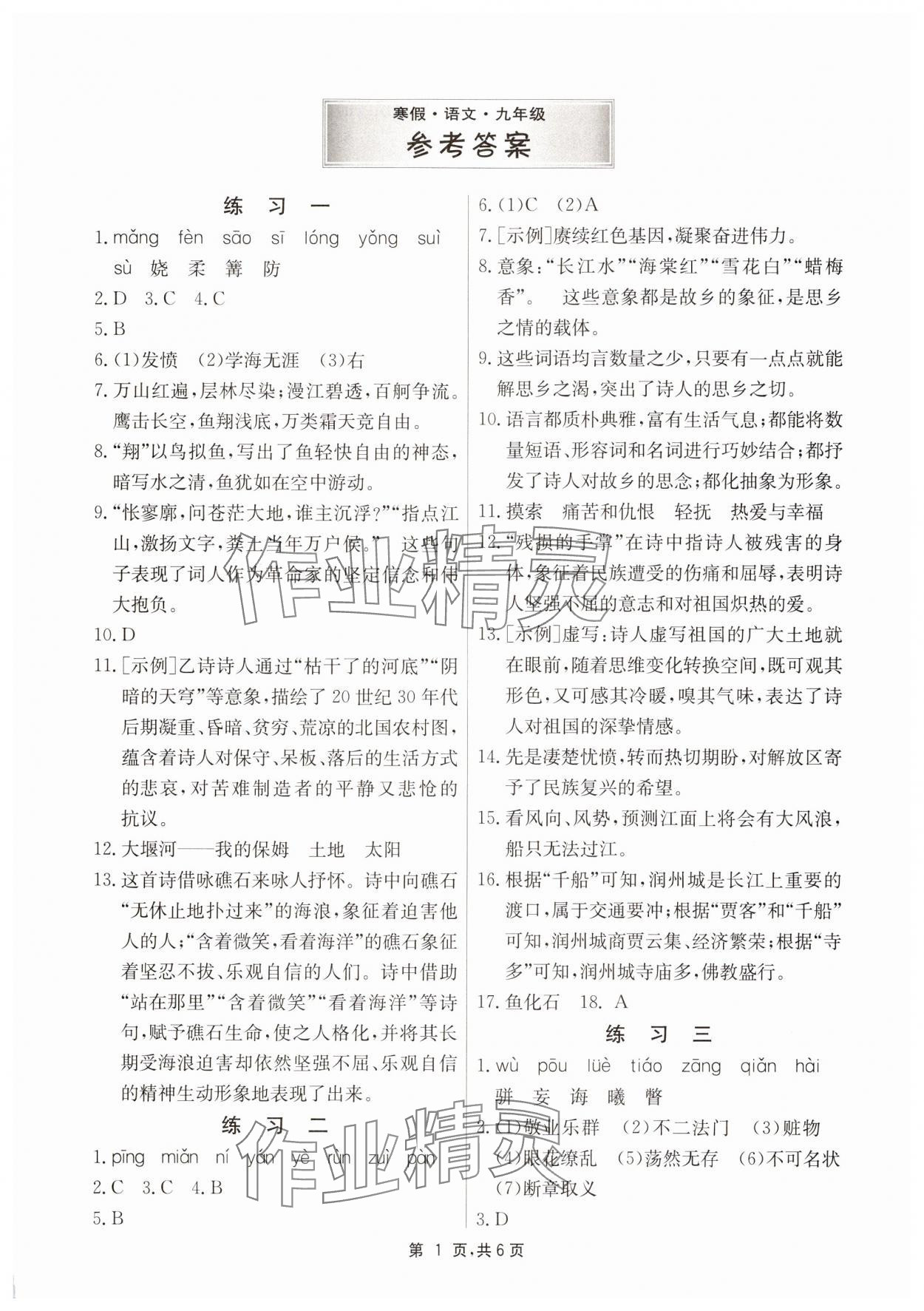 2025年快乐寒假江苏人民出版社九年级语文&nbsp;第1页