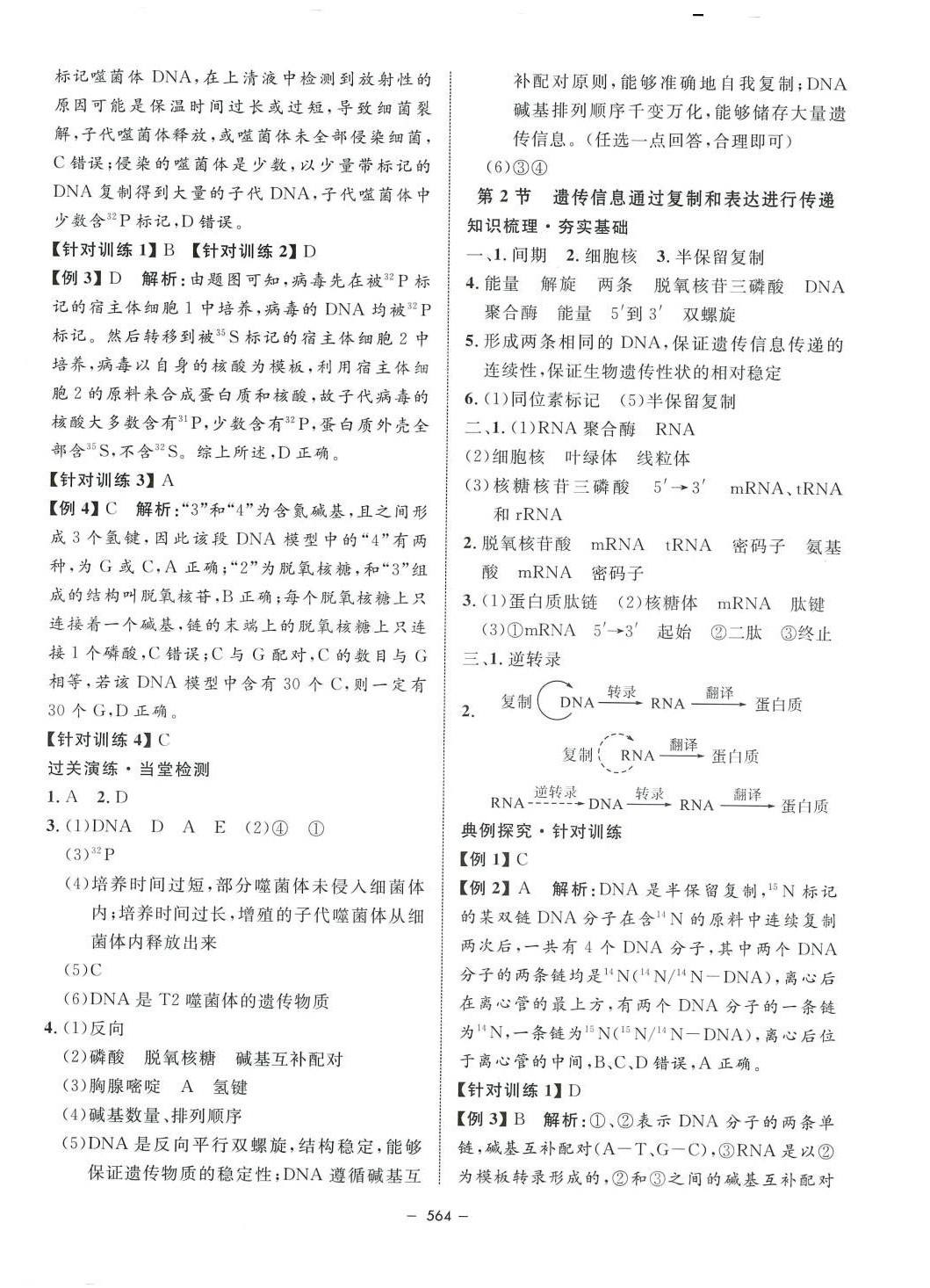 2024年钟书金牌金典导学案高中生物沪教版上海专版&nbsp;第10页