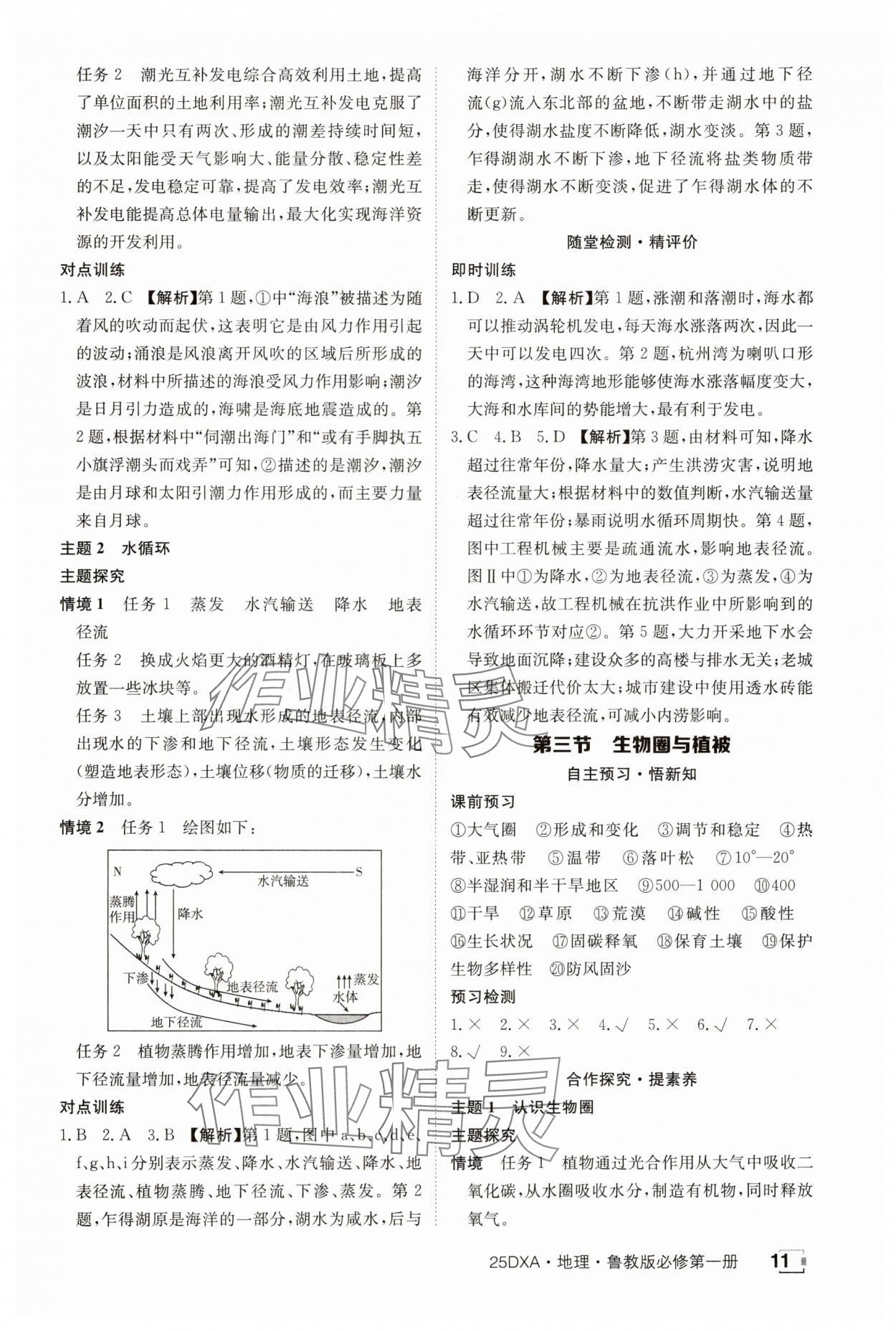 2024年金太阳导学案高中地理必修第一册鲁教版&nbsp;参考答案第11页