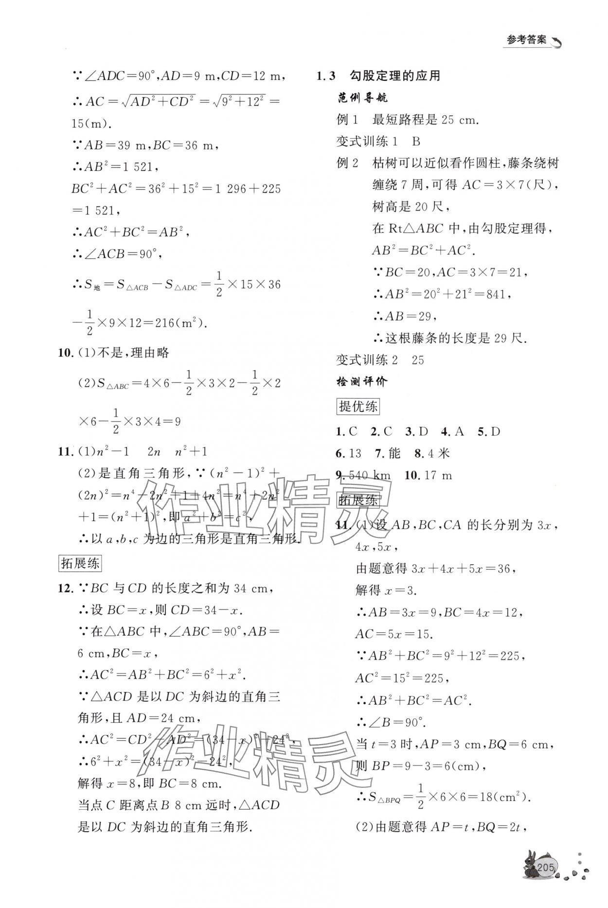 2025年新课程助学丛书八年级数学上册北师大版&nbsp;第3页