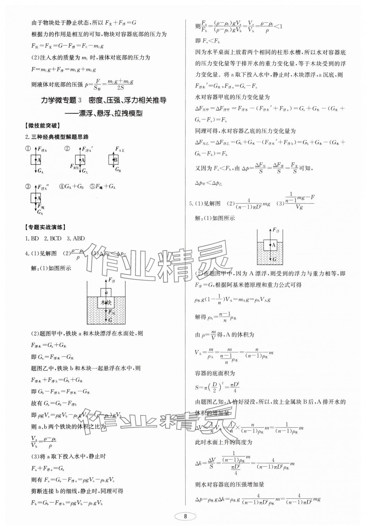 2025年初中总复习北京教育出版社物理天津专版&nbsp;第8页