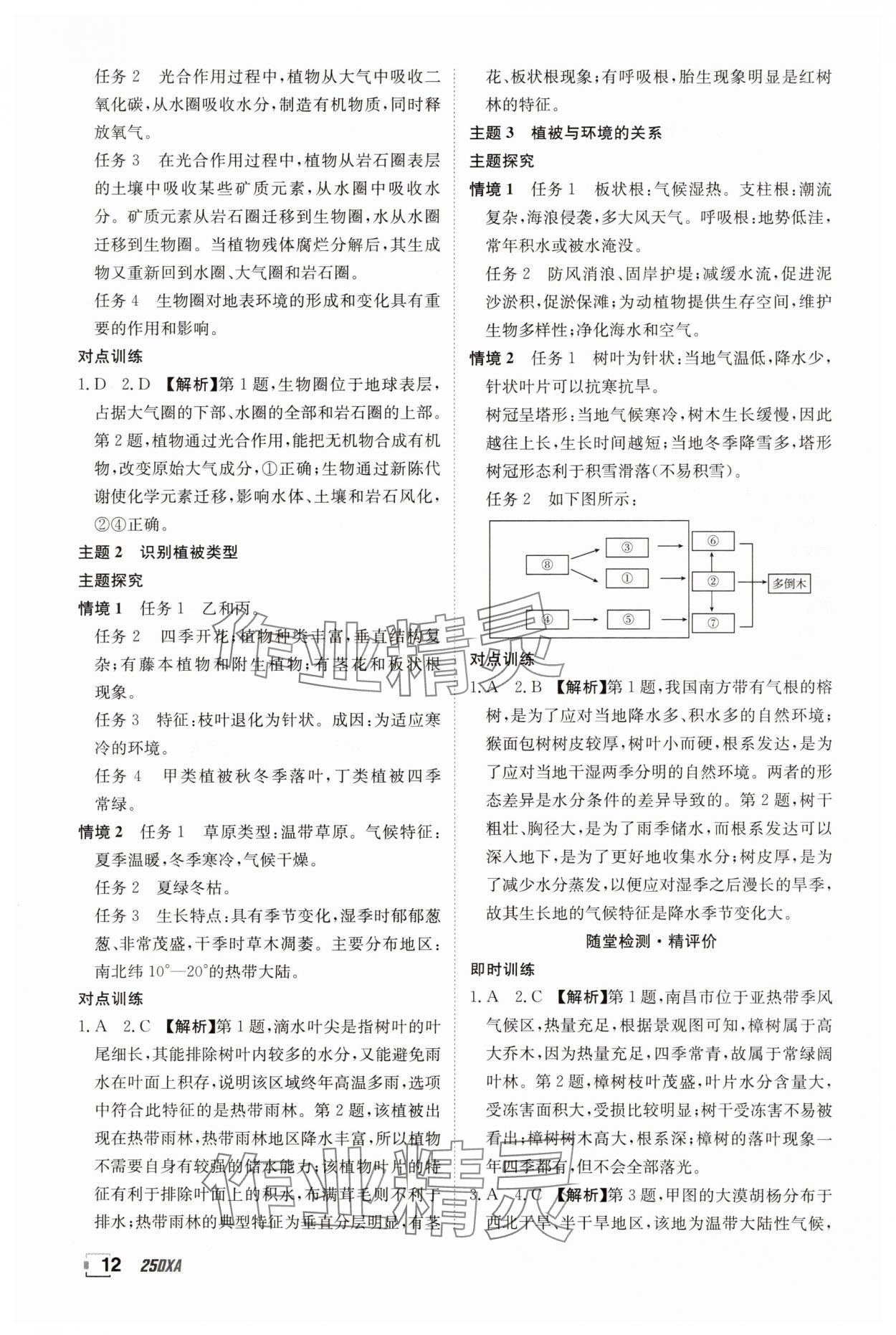 2024年金太阳导学案高中地理必修第一册鲁教版&nbsp;参考答案第12页
