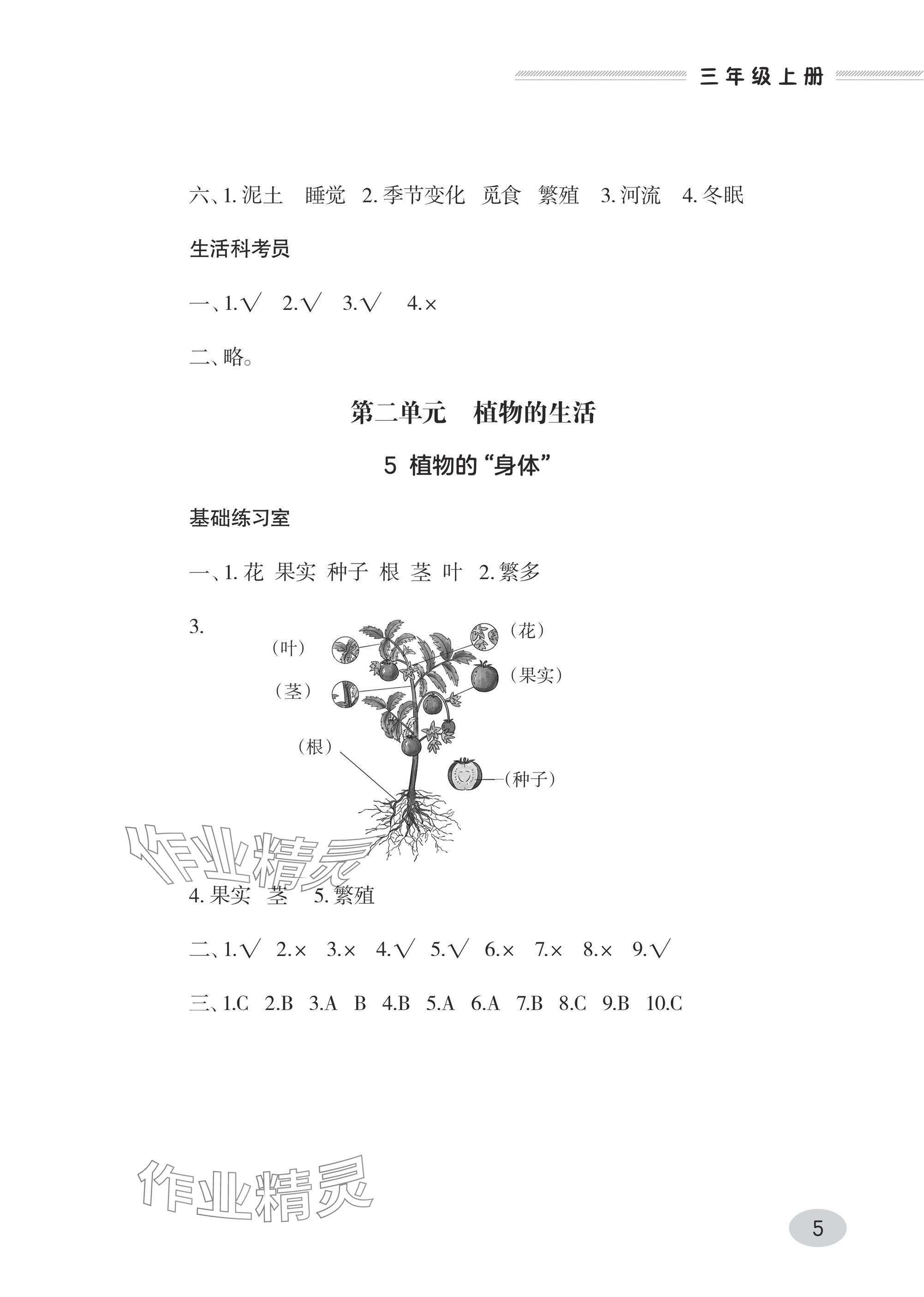 2024年同步练习册青岛出版社三年级科学上册青岛版&nbsp;参考答案第5页