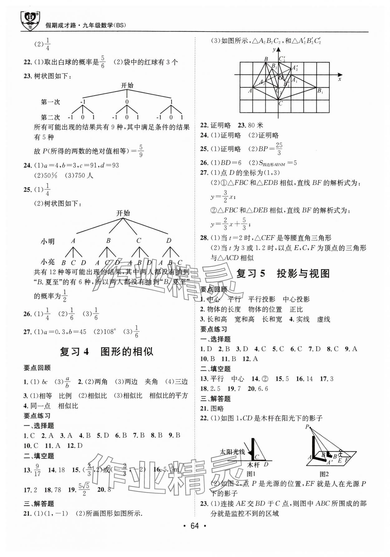 2025年假期成才路九年级数学北师大版&nbsp;第2页