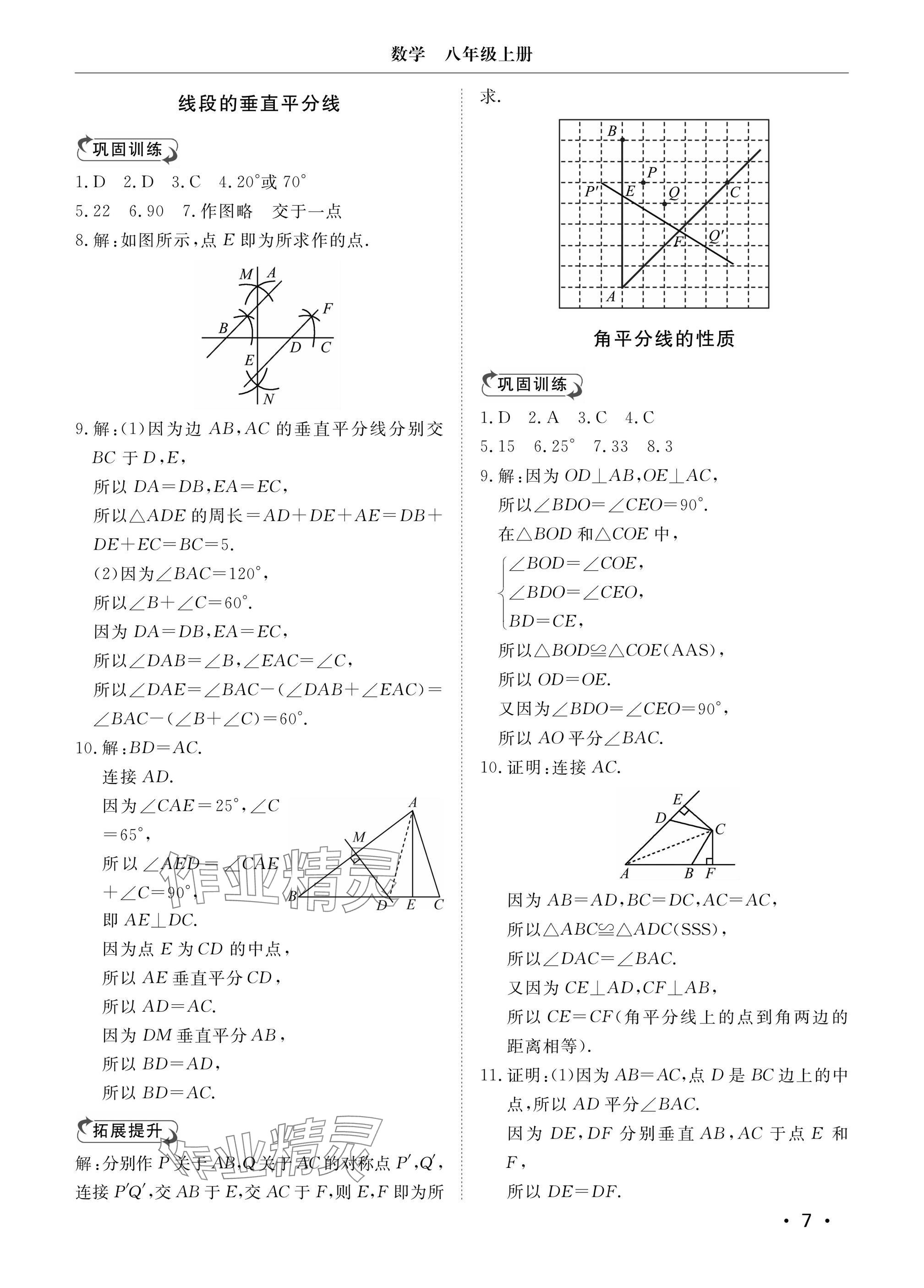 2024年行知天下八年级数学上册青岛版&nbsp;参考答案第7页