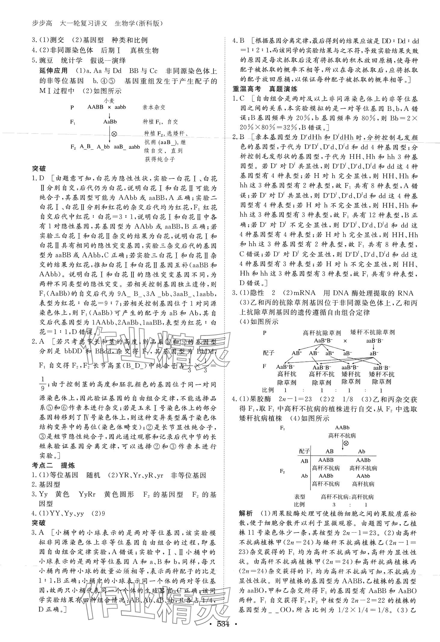 2024年步步高大一轮复习讲义高中生物浙科版&nbsp;第24页
