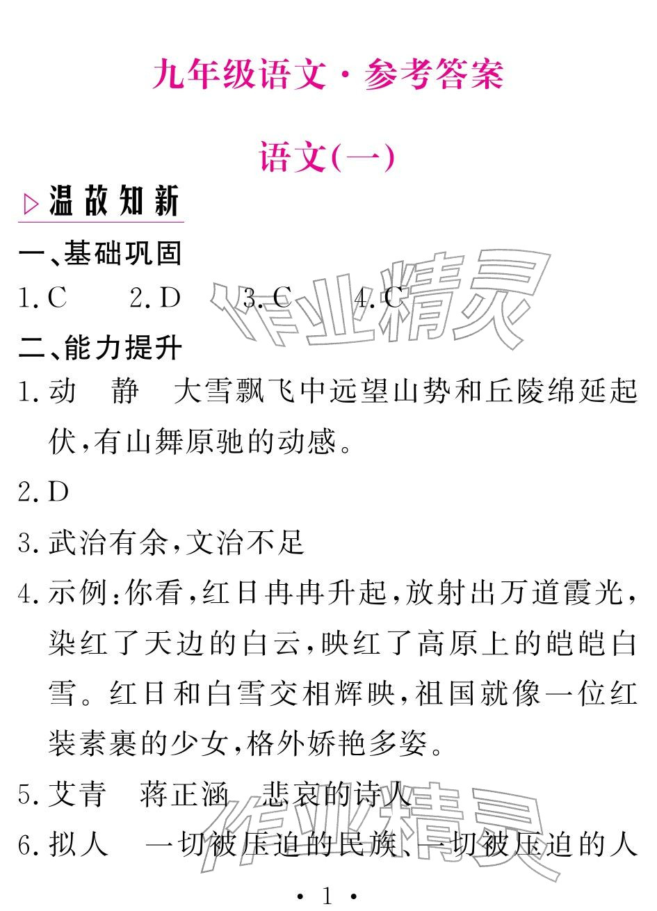 2026年天舟文化精彩寒假团结出版社九年级语文&nbsp;参考答案第1页