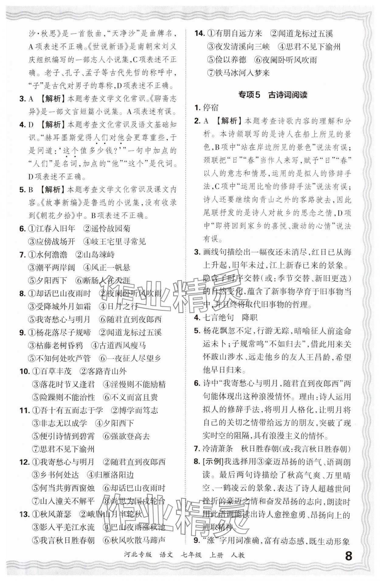 2024年王朝霞各地期末试卷精选七年级语文上册人教版河北专版&nbsp;参考答案第8页