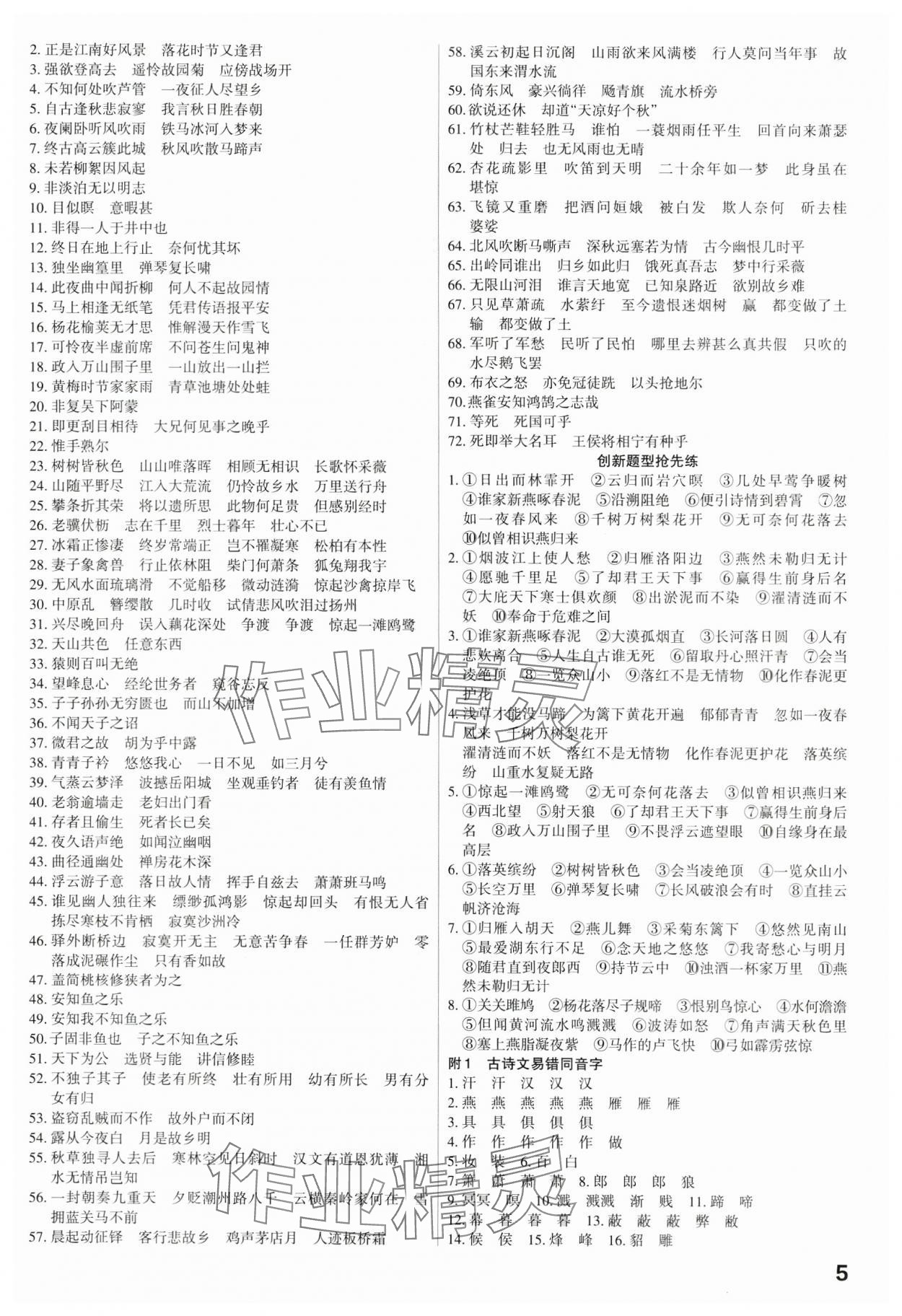 2024年滚动迁移中考总复习语文广东专版&nbsp;第5页