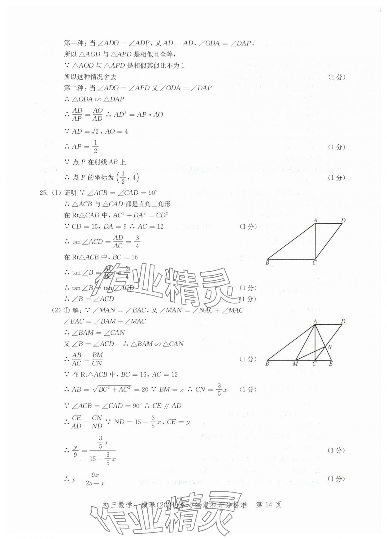 2024年文化课强化训练数学&nbsp;参考答案第14页