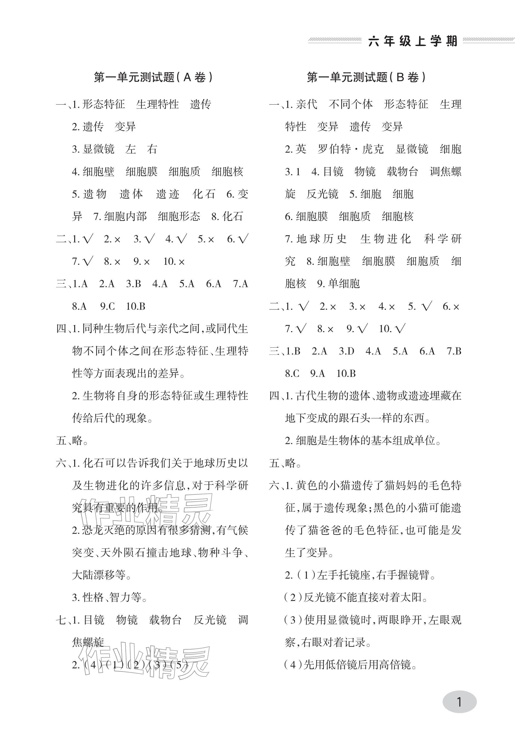2025年单元自测试卷青岛出版社六年级科学上册青岛版&nbsp;参考答案第1页