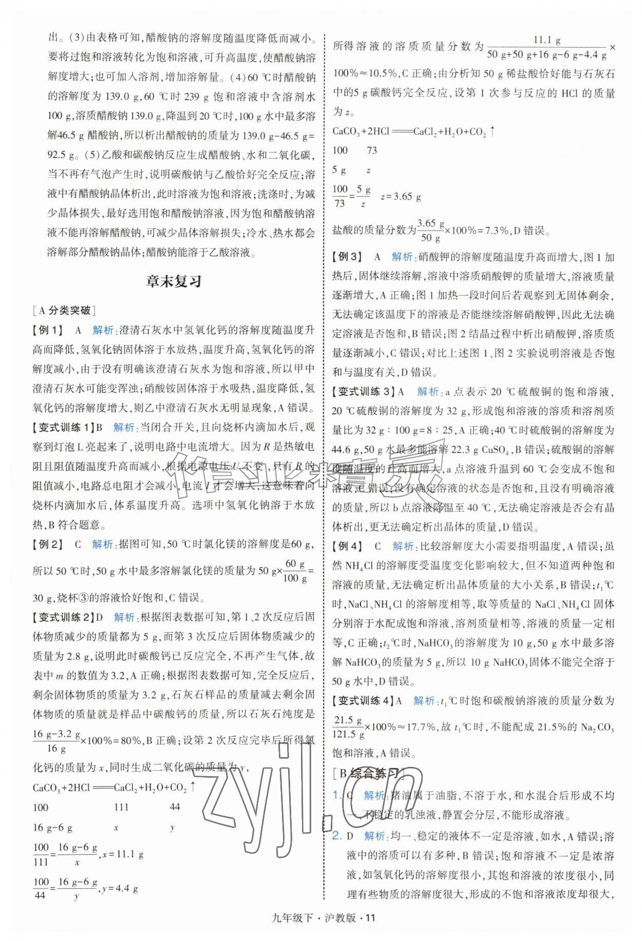 2027年经纶学典学霸题中题九年级化学下册沪教版&nbsp;第11页