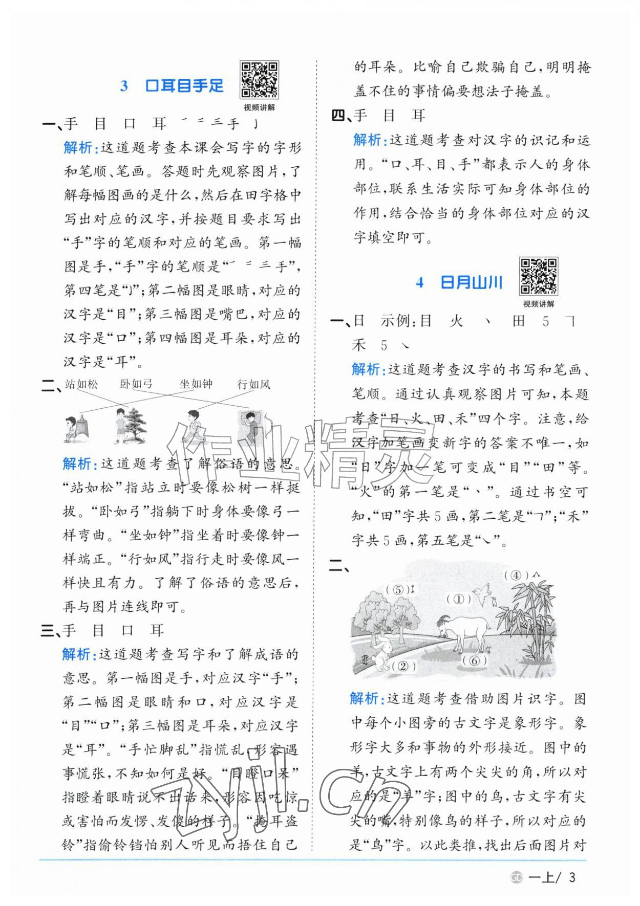 2026年阳光同学课时优化作业一年级语文上册人教版广东专版&nbsp;参考答案第3页