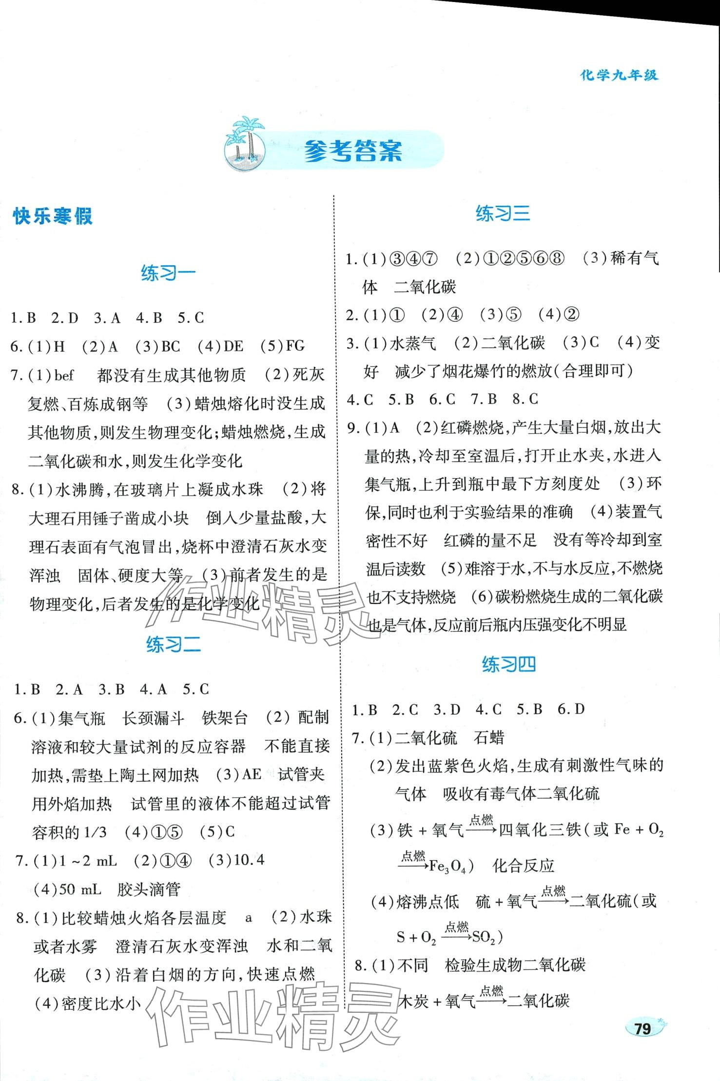2024年乐享寒假生活九年级化学&nbsp;第1页