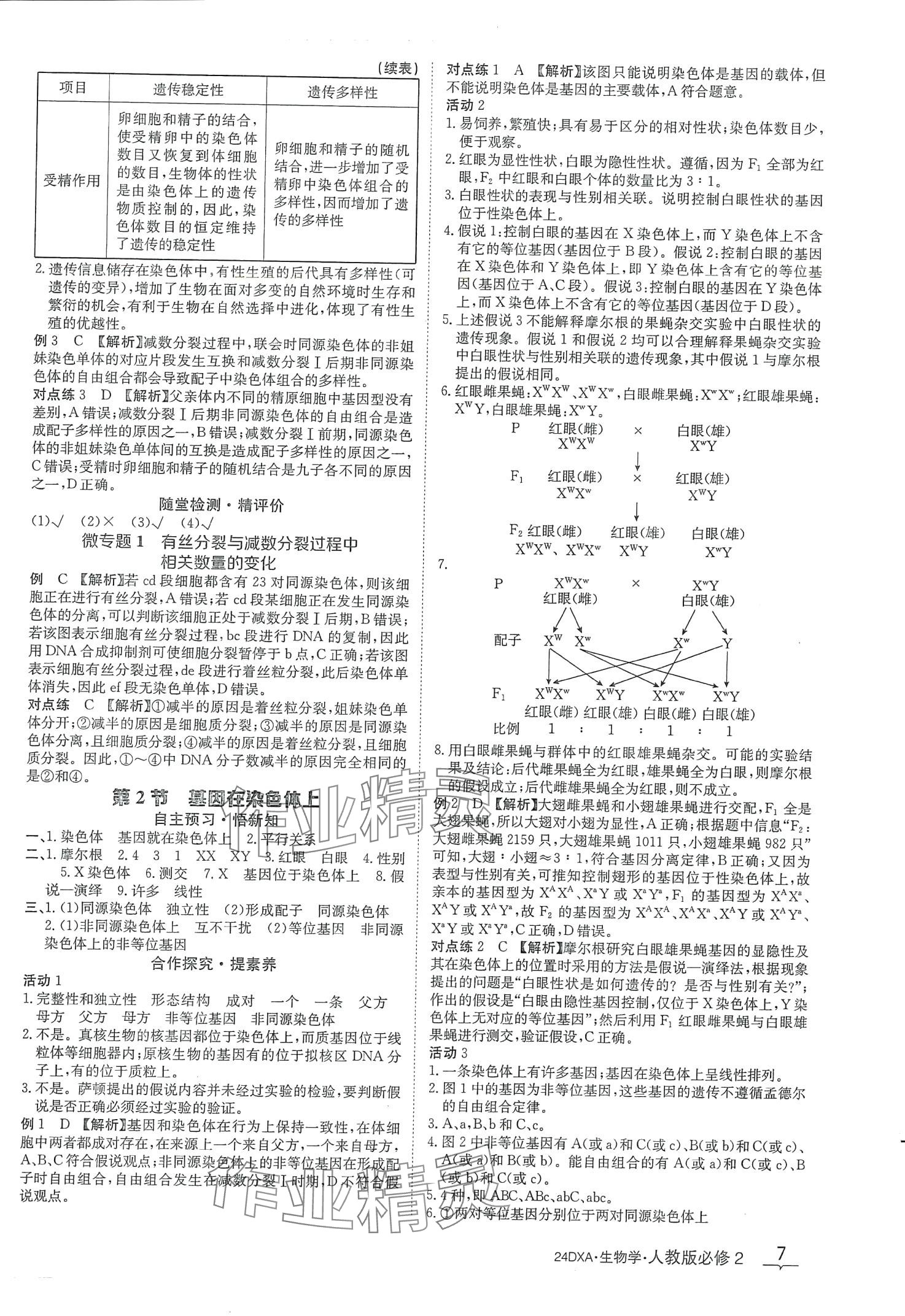 2024年金太阳导学案高中生物必修2人教版新教材&nbsp;第7页