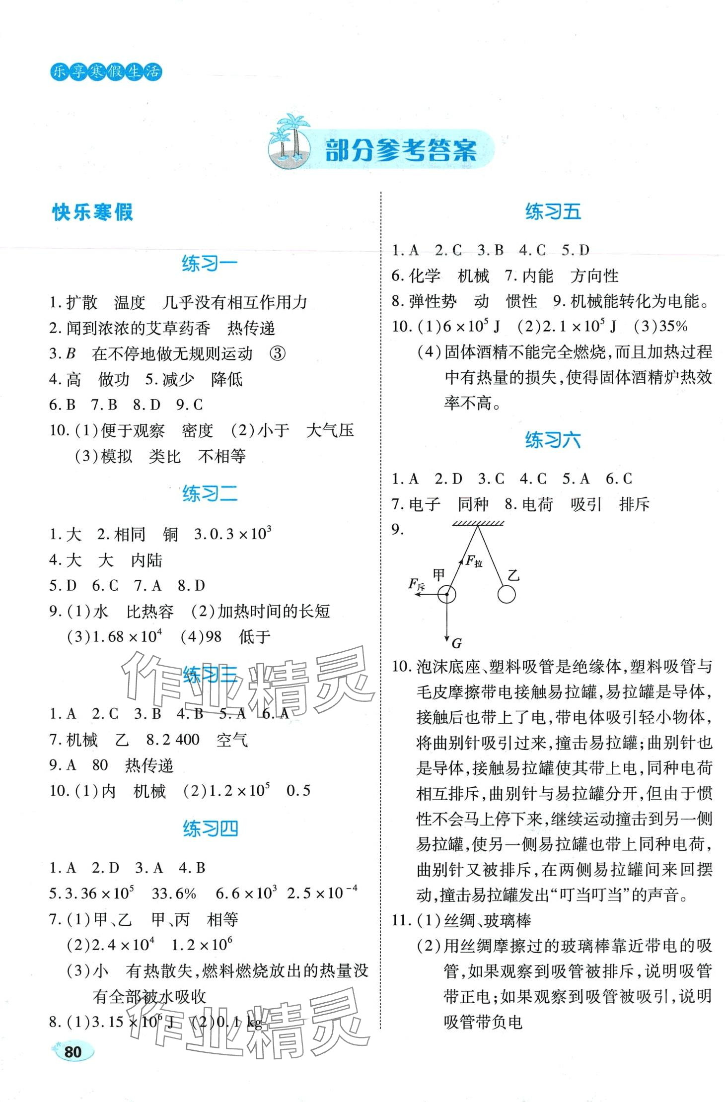 2024年乐享寒假生活九年级物理&nbsp;第1页