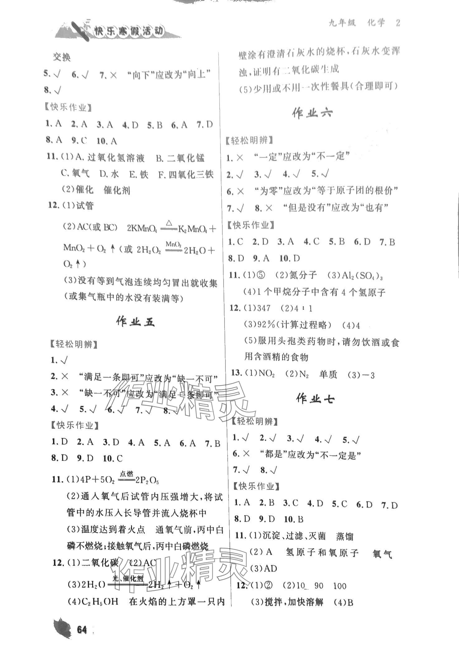 2024年快乐寒假活动九年级化学&nbsp;第2页