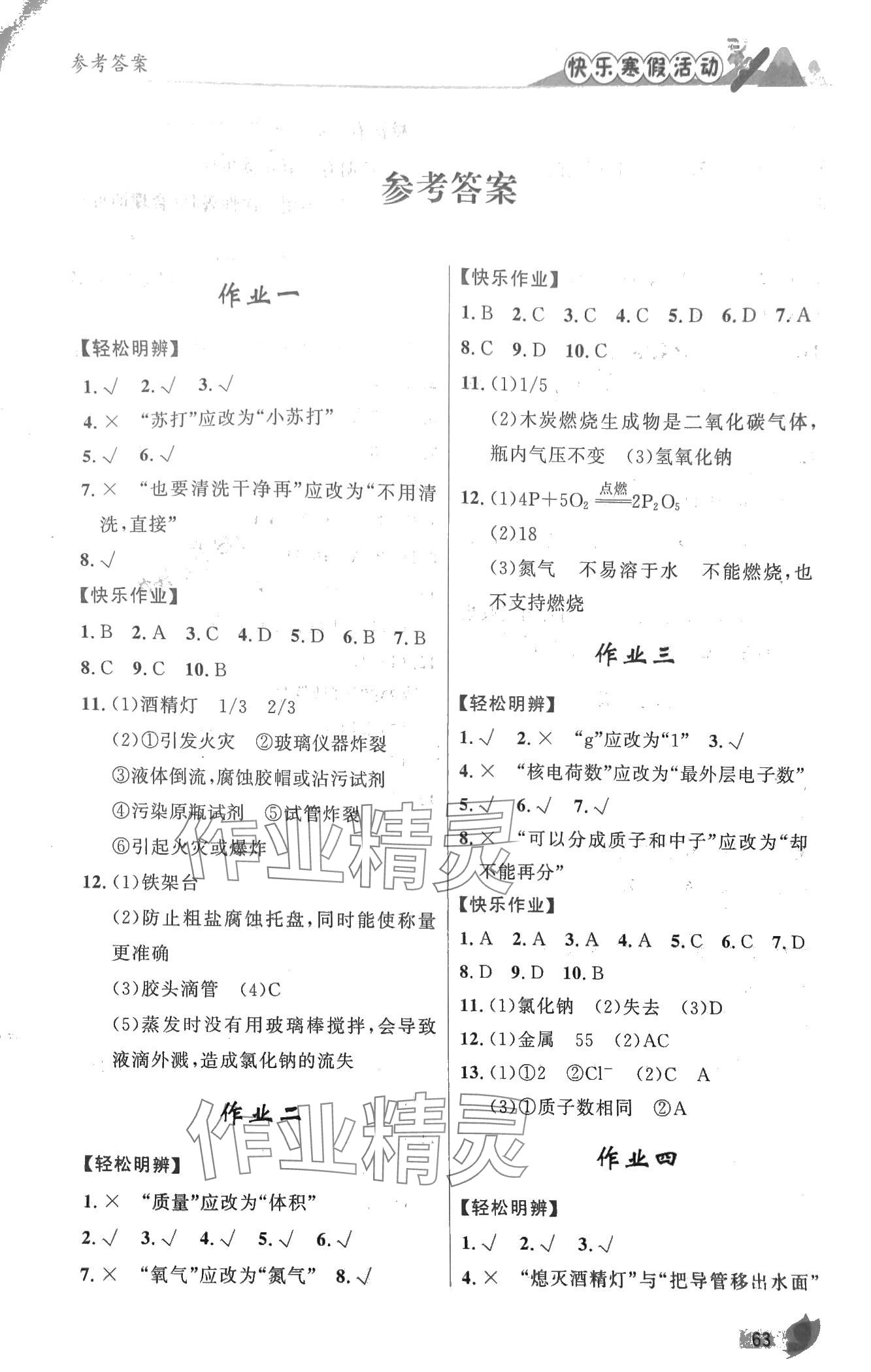 2024年快乐寒假活动九年级化学&nbsp;第1页
